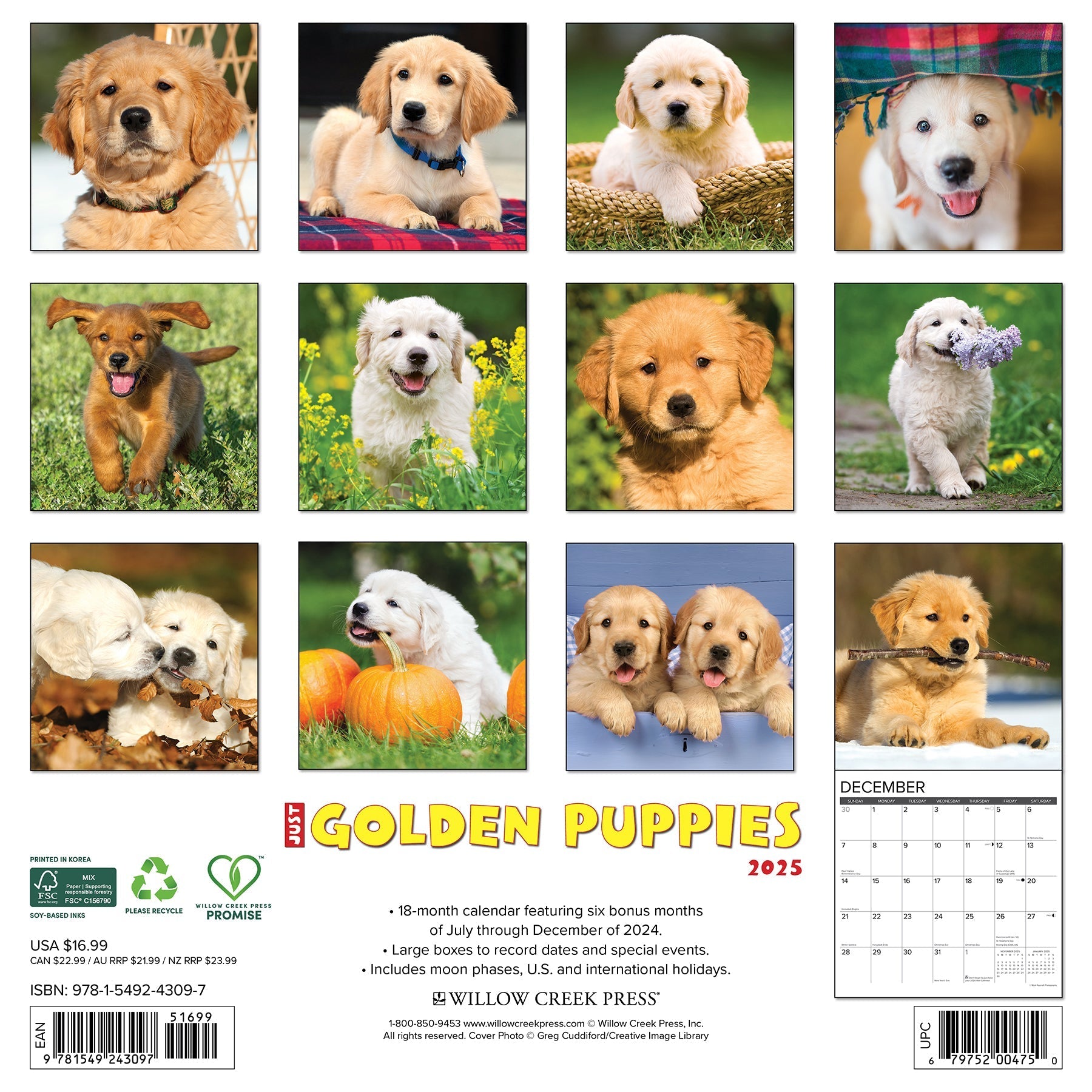 2025 Golden Puppies - Square Wall Calendar (US Only)