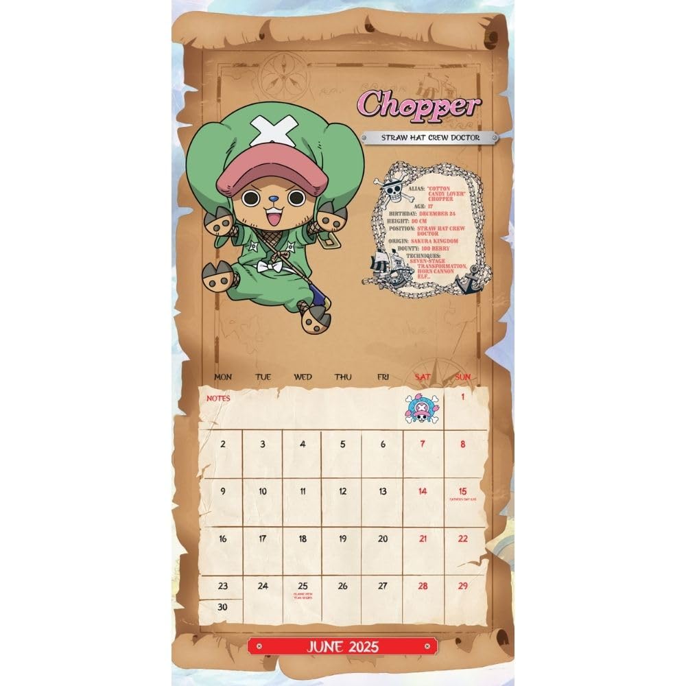 2025 One Piece - Square Wall Calendar