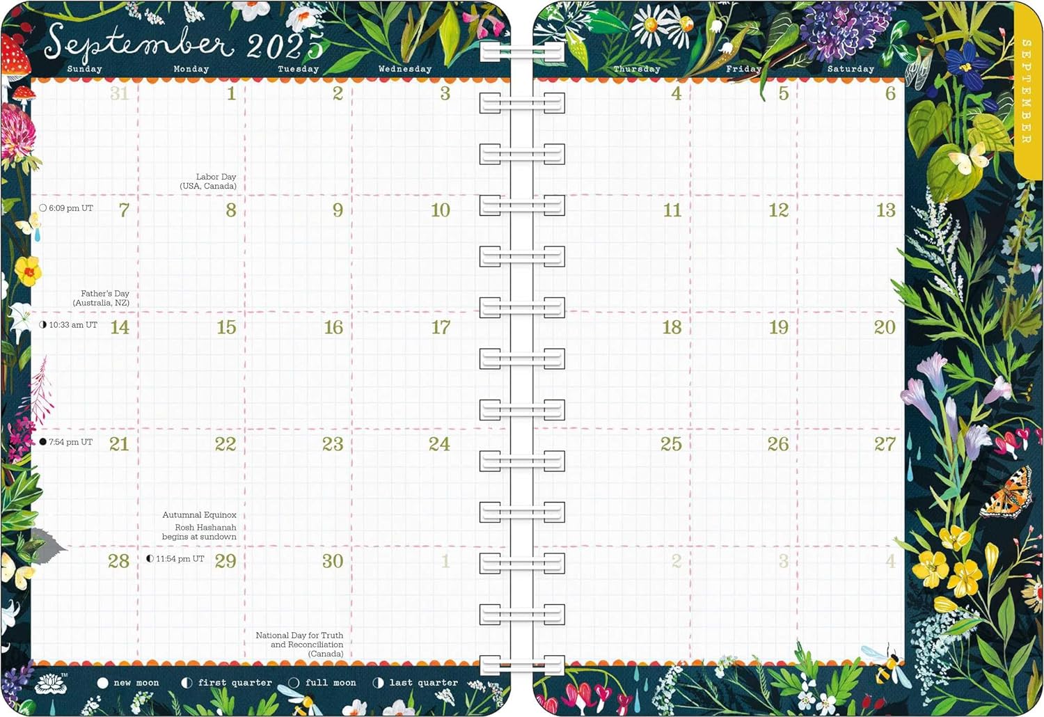 2025 Katie Daisy: Find Me in the Flowers - Monthly & Weekly Diary/Planner