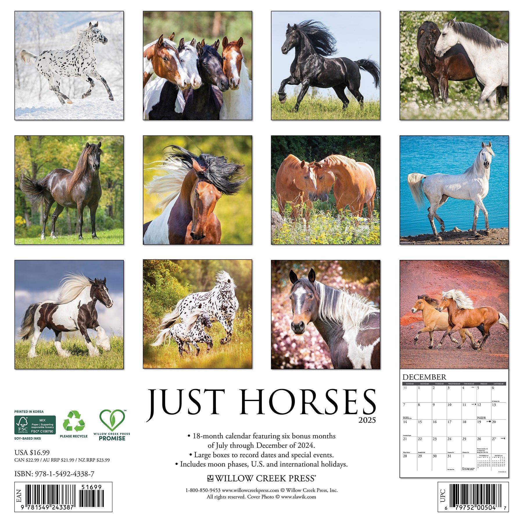 2025 Horses - Square Wall Calendar (US Only)