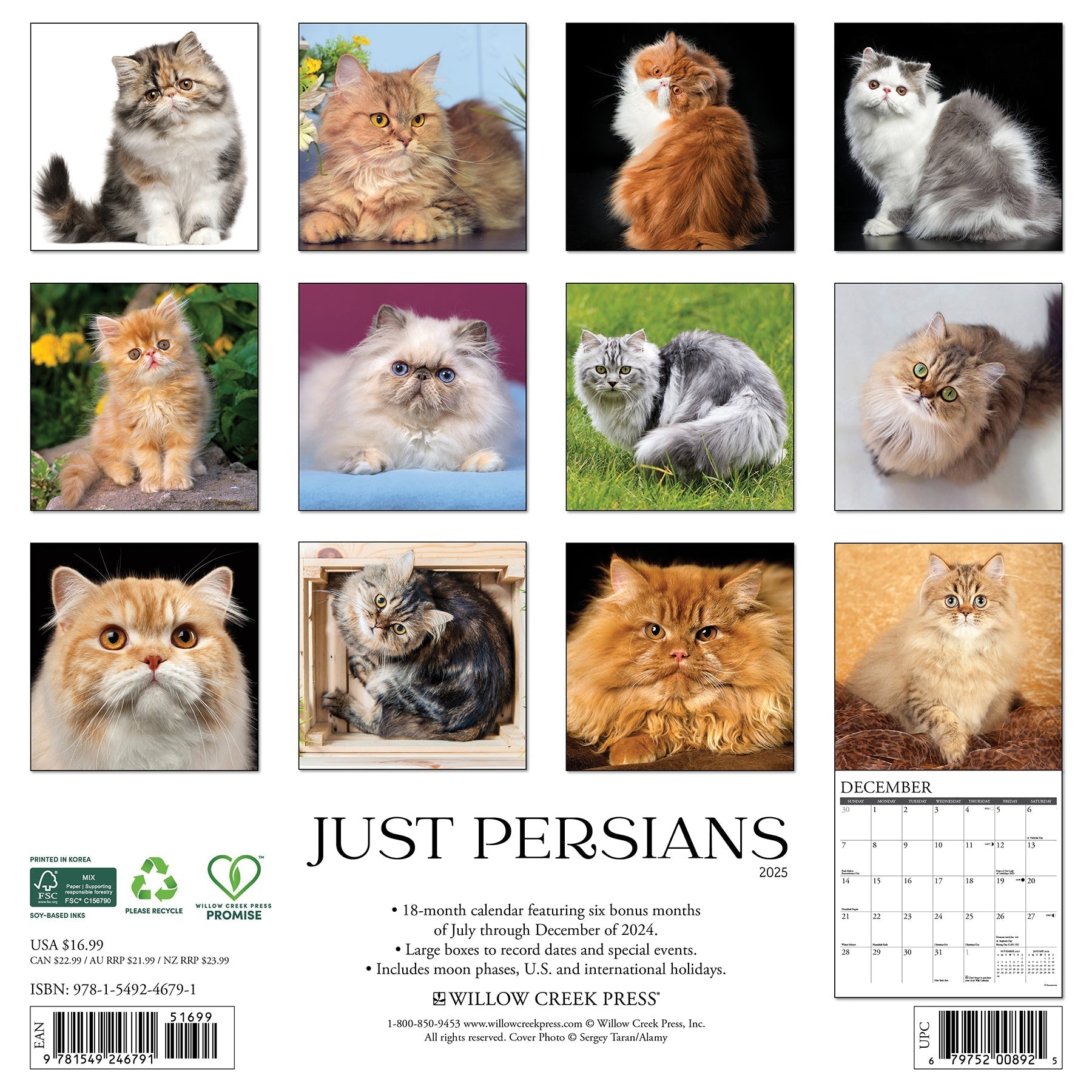 2025 Persians - Square Wall Calendar (US Only)