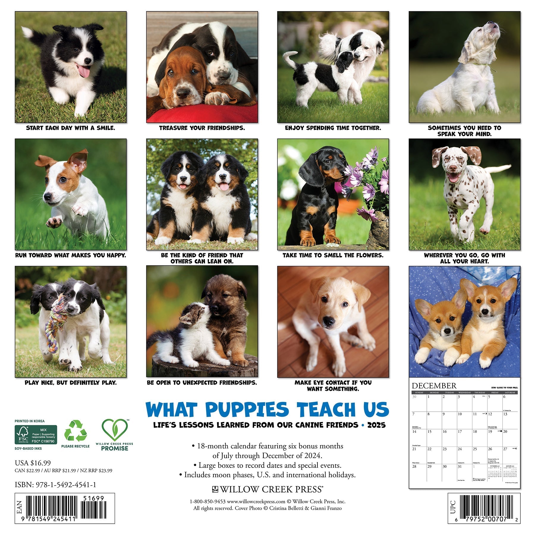 2025 What Puppies Teach Us - Square Wall Calendar (US Only)