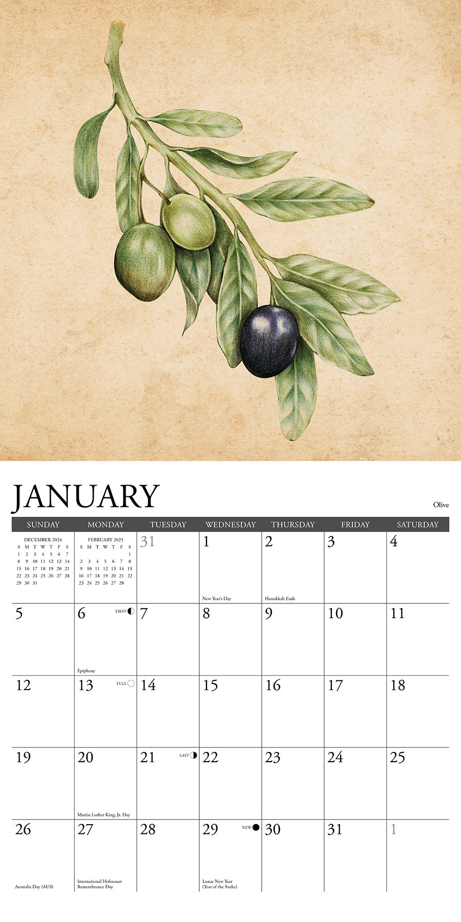 2025 Farmer's Market - Square Wall Calendar (US Only)