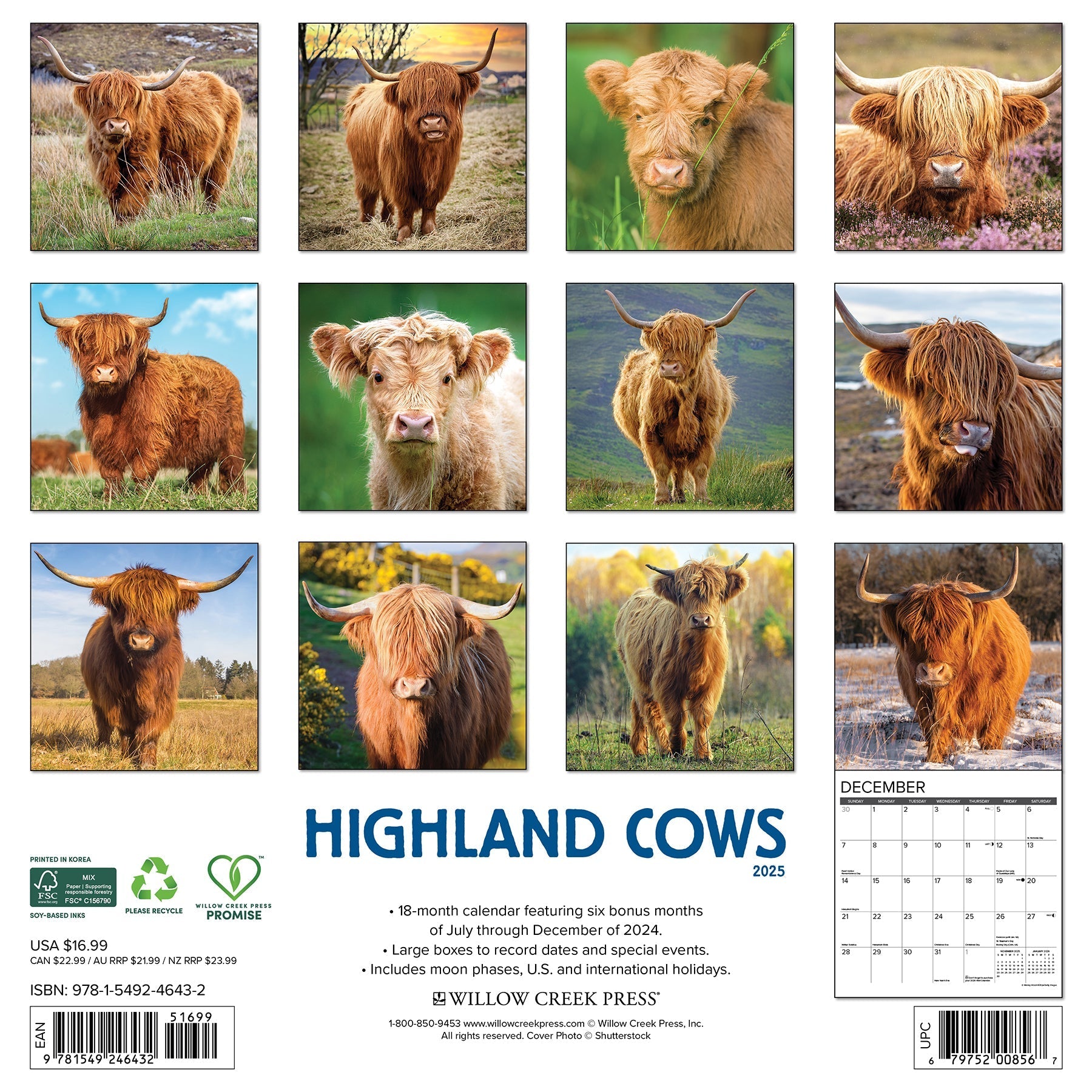 2025 Highland Cows - Square Wall Calendar (US Only)