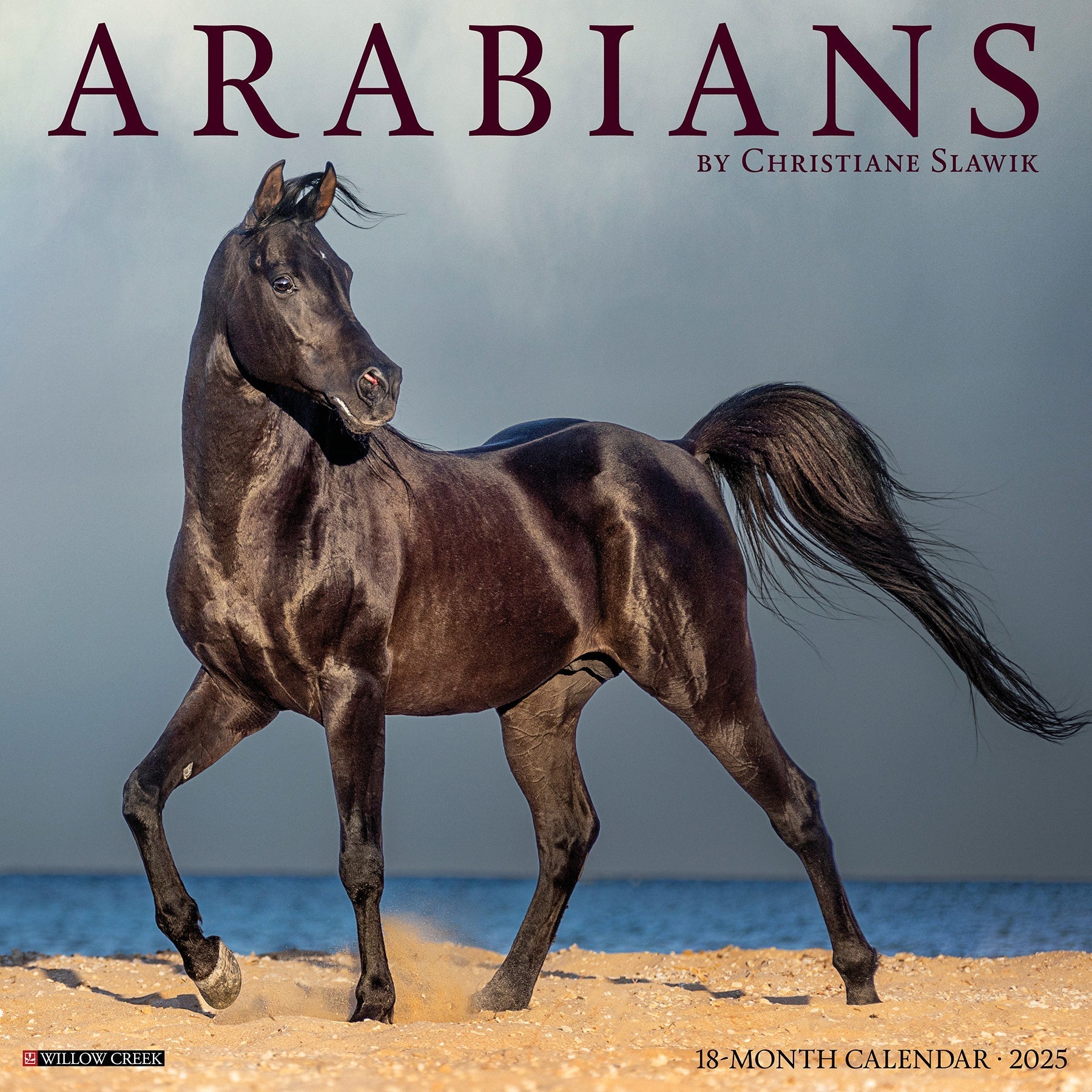 2025 Arabians - Square Wall Calendar (US Only)