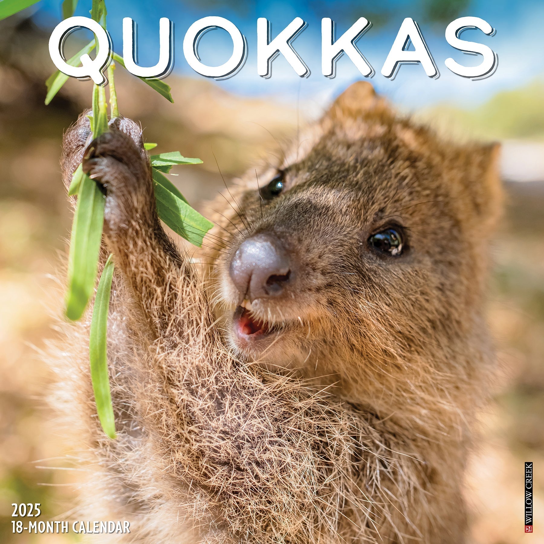 2025 Quokkas - Square Wall Calendar (US Only)