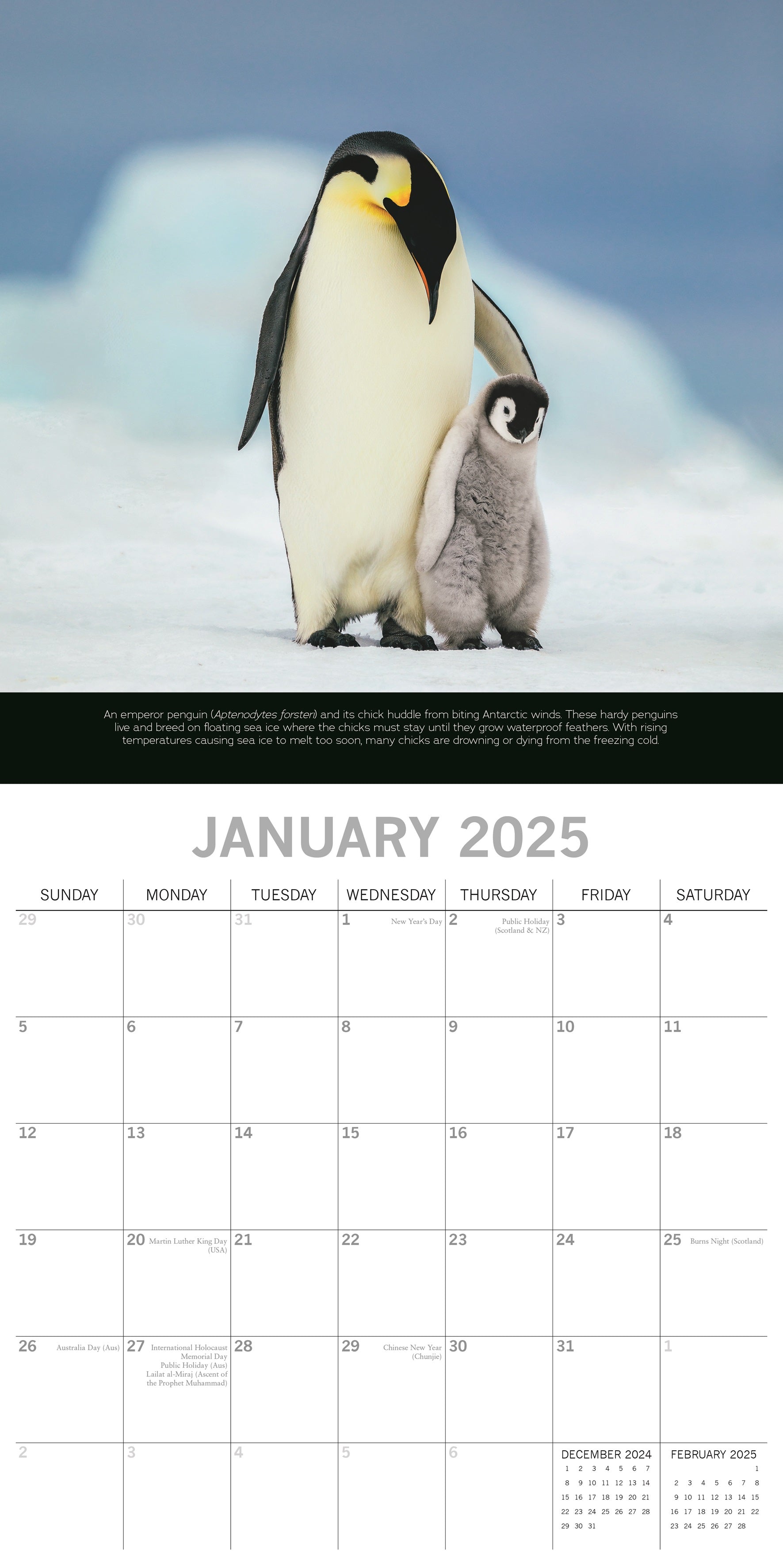 2025 Save the Planet - Square Wall Calendar