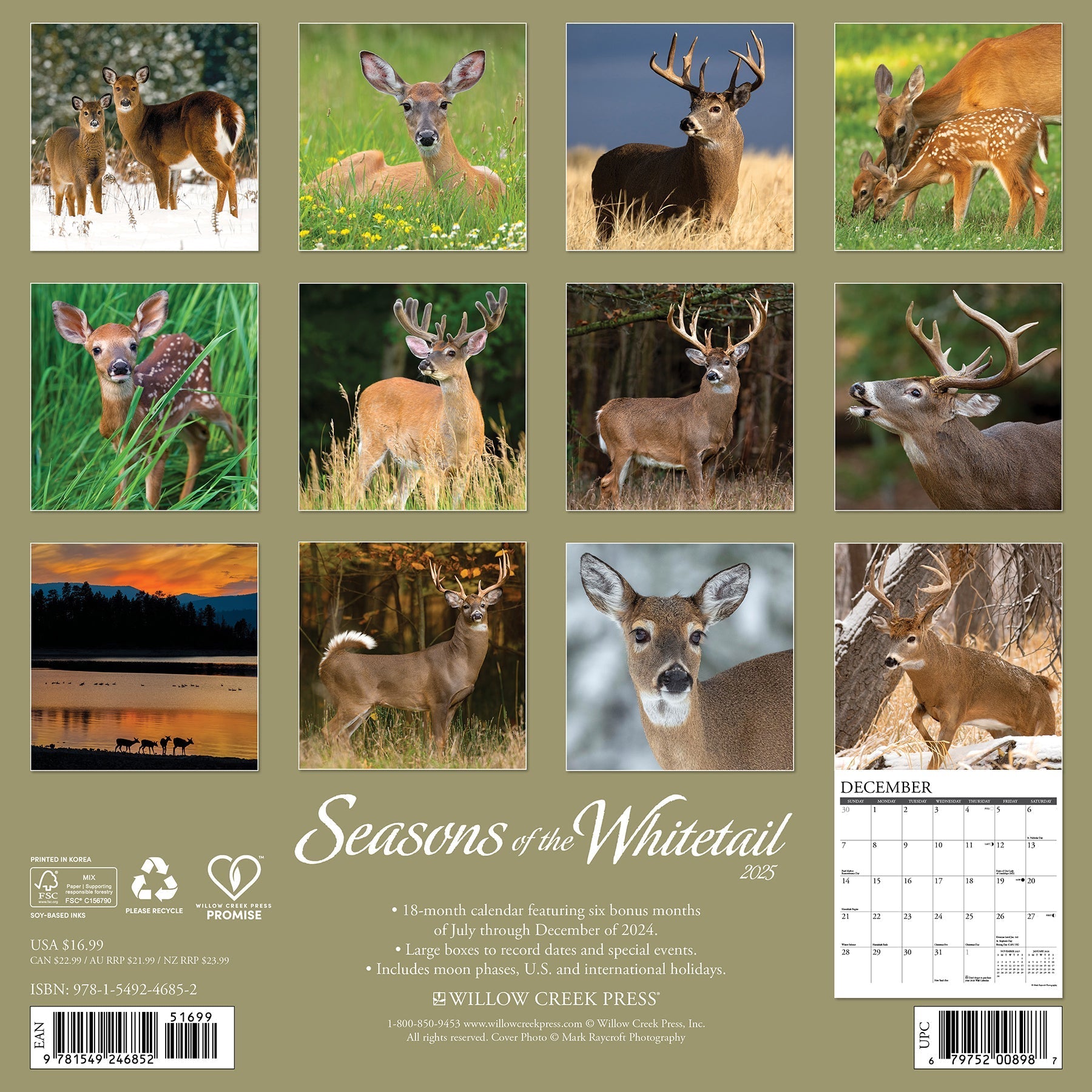 2025 Seasons of the Whitetail (Deer) - Square Wall Calendar (US Only)