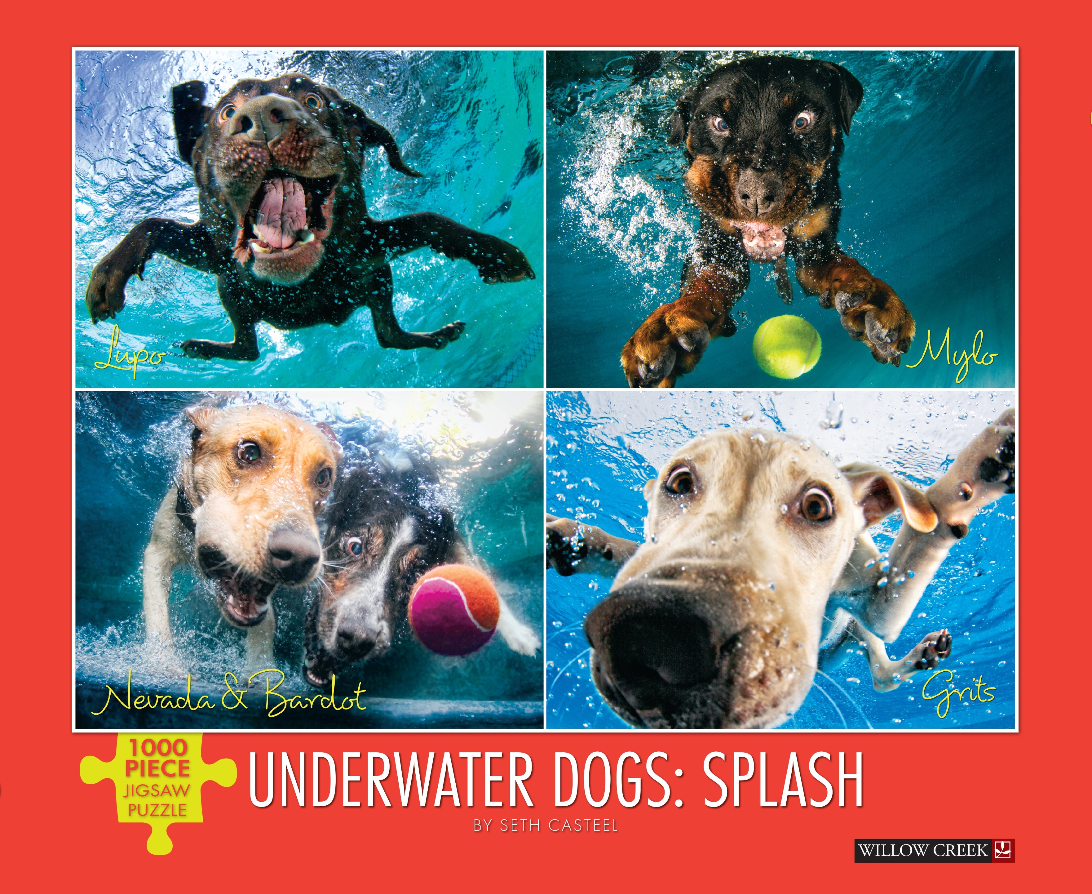 Underwater Dogs: Splash 1000 Piece - Jigsaw Puzzle