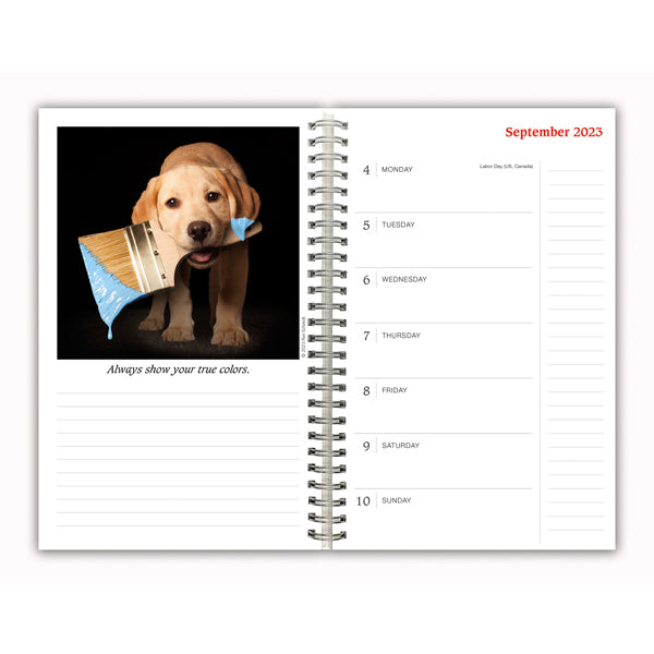 2024 Dogma: A Dog's Guide to Life - Engagement Diary/Planner Calendar  SOLD OUT