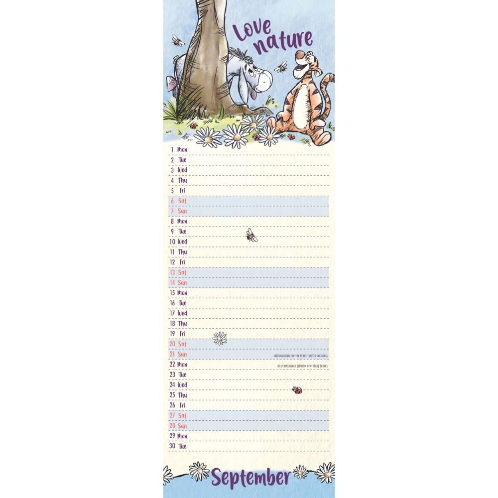 2025 Eeyore - Slim Wall Calendar