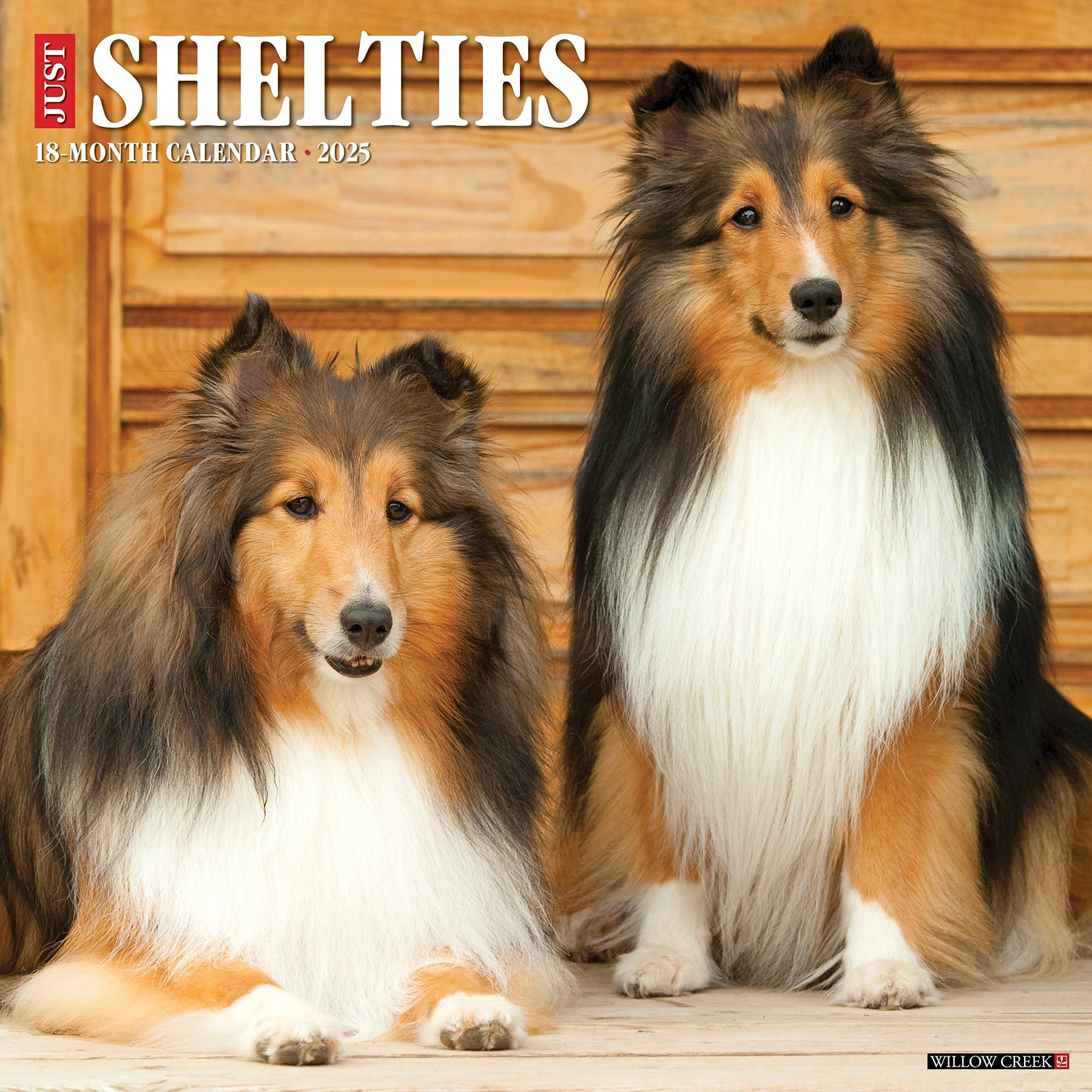 2025 Shelties - Square Wall Calendar (US Only)