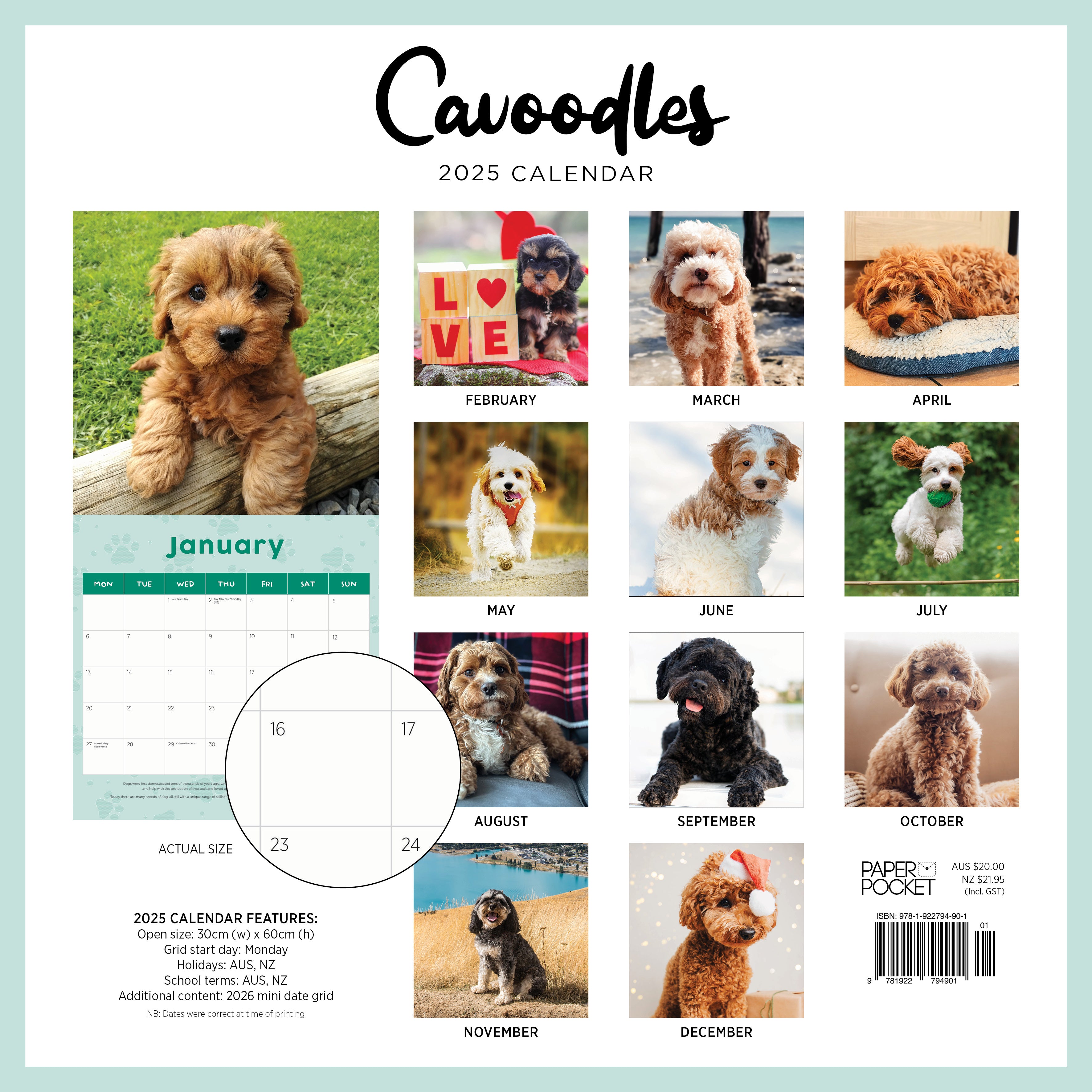 2025 Cavoodle - Square Wall Calendar