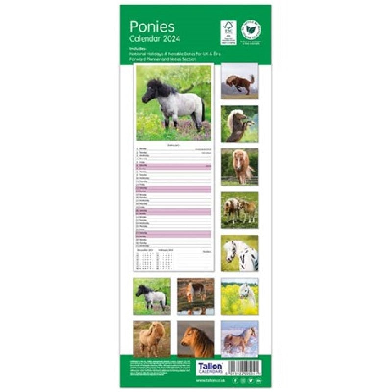 2024 Ponies Super - Slim Wall Calendar