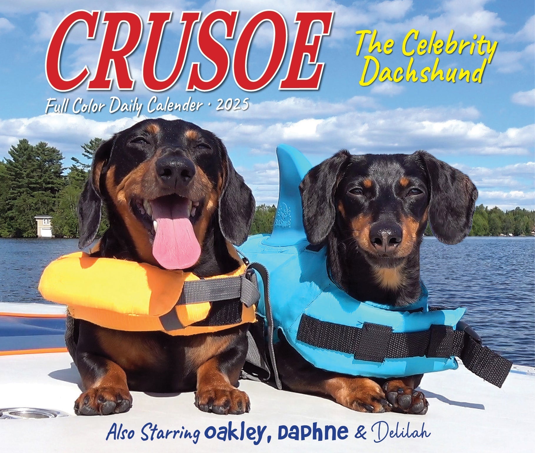 2025 Crusoe the Celebrity Dachshund - Daily Boxed Page-A-Day Calendar (US Only)