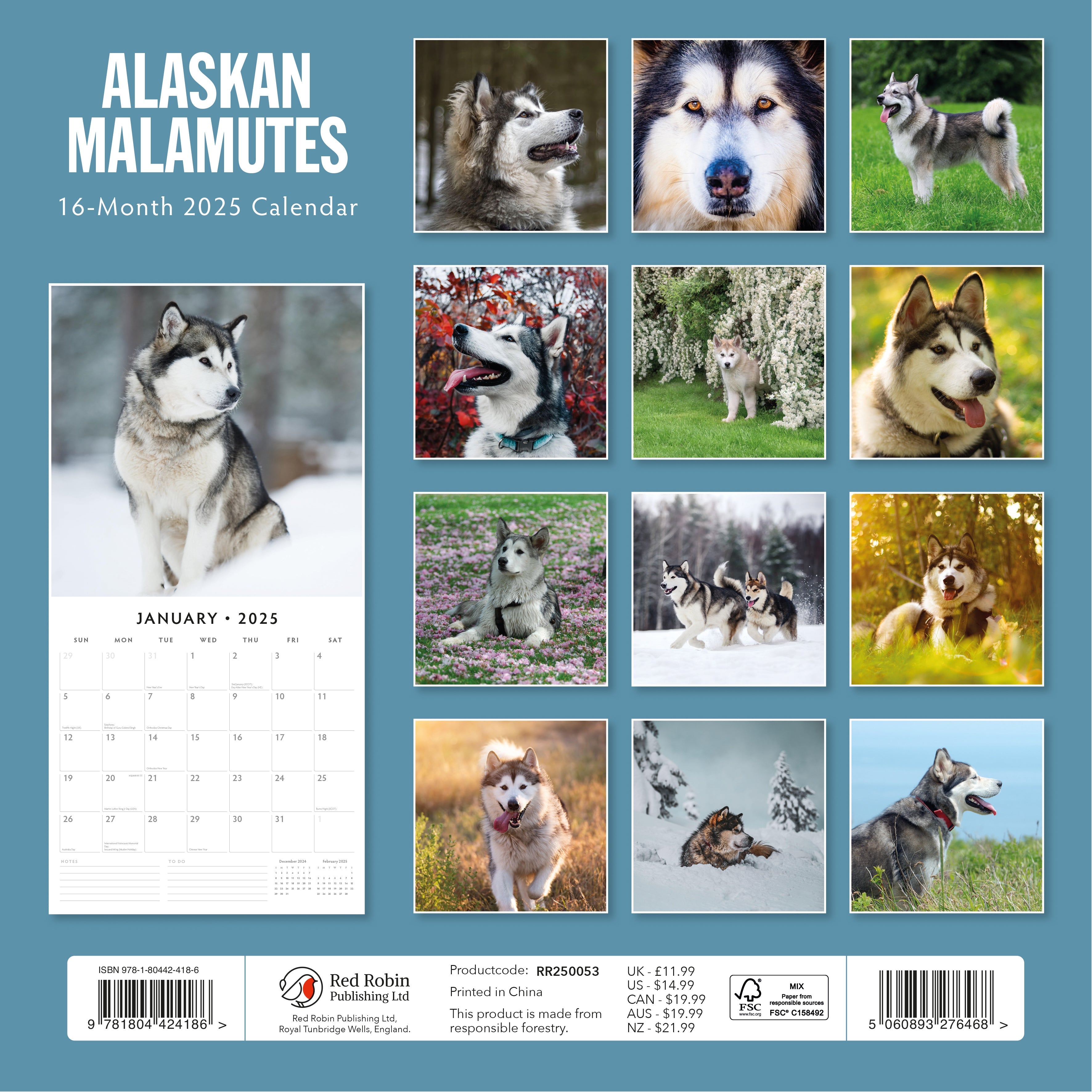 2025 Alaskan Malamutes - Square Wall Calendar