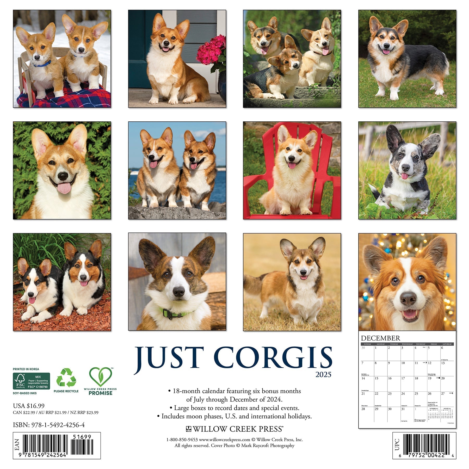 2025 Corgi Wall Calendar