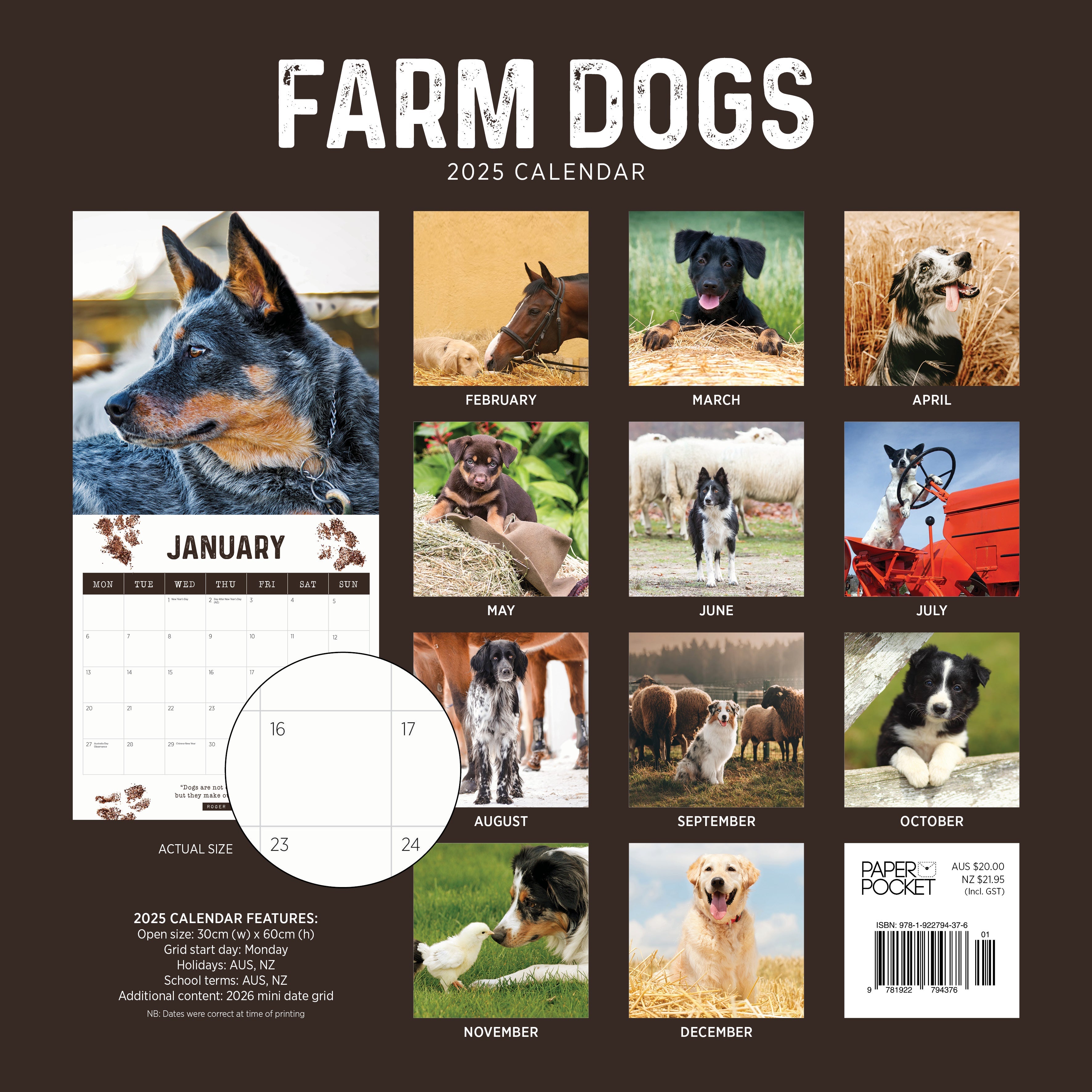 2025 Farm Dogs - Square Wall Calendar