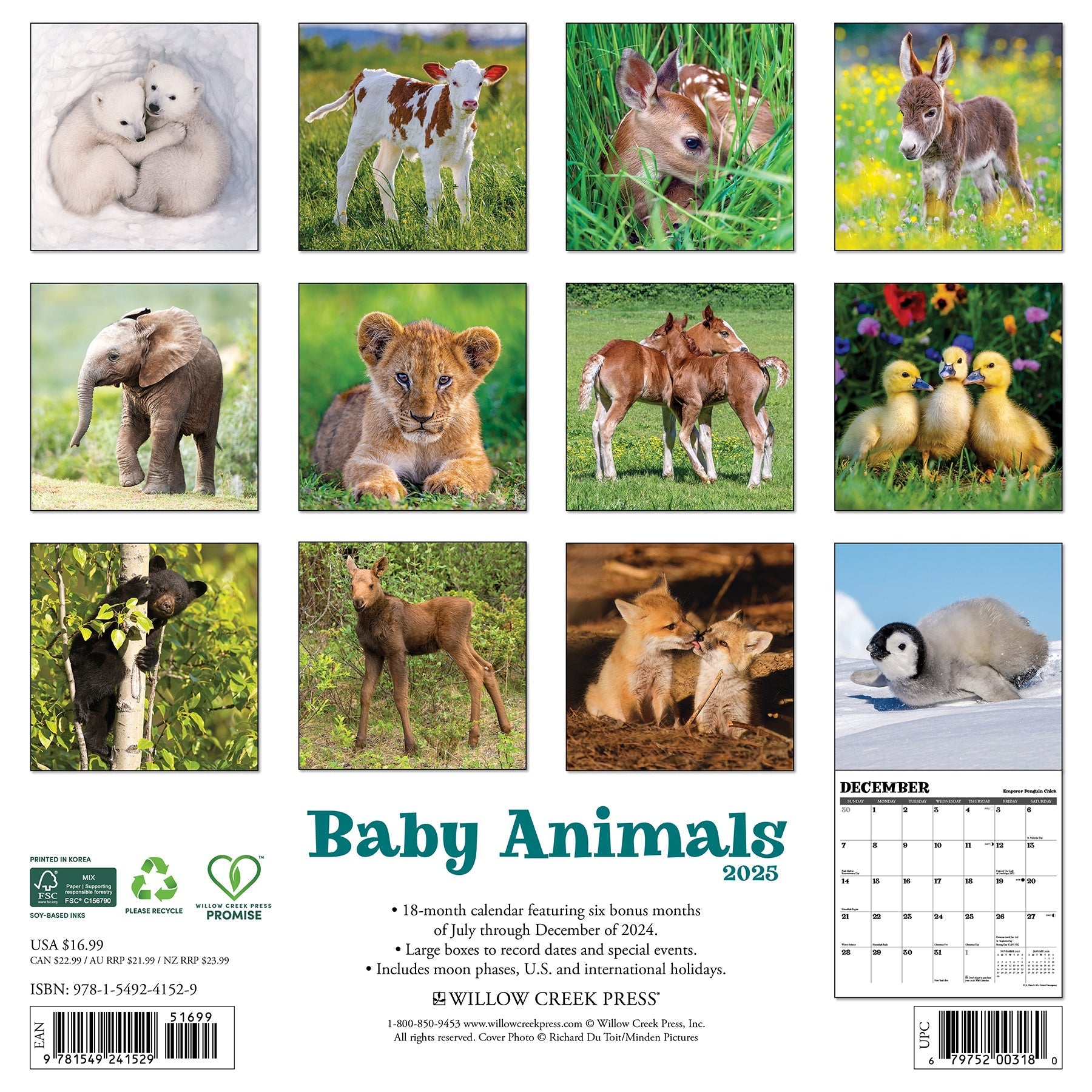 2025 Baby Animals - Square Wall Calendar (US Only)