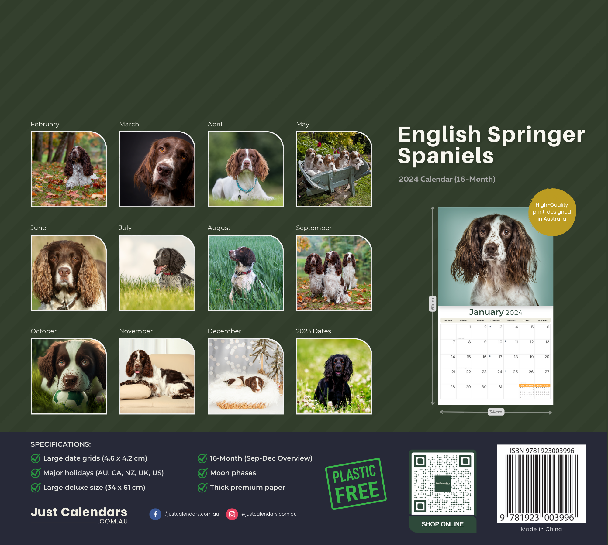 2024 English Springer Spaniels Dogs & Puppies - Deluxe Wall Calendar by Just Calendars - 16 Month - Plastic Free
