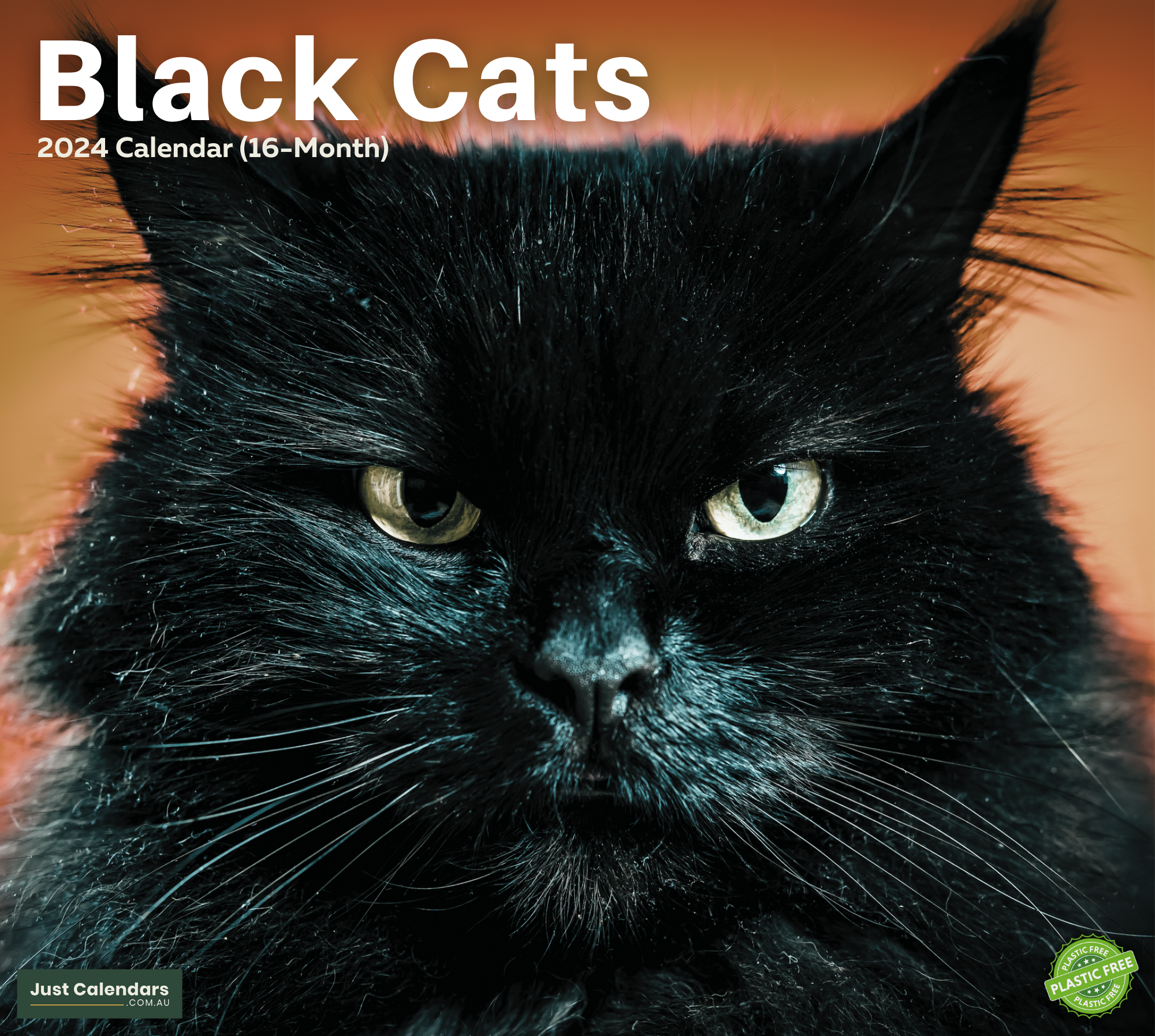 2024 Black Cats & Kittens - Deluxe Wall Calendar by Just Calendars - 16 Month - Plastic Free