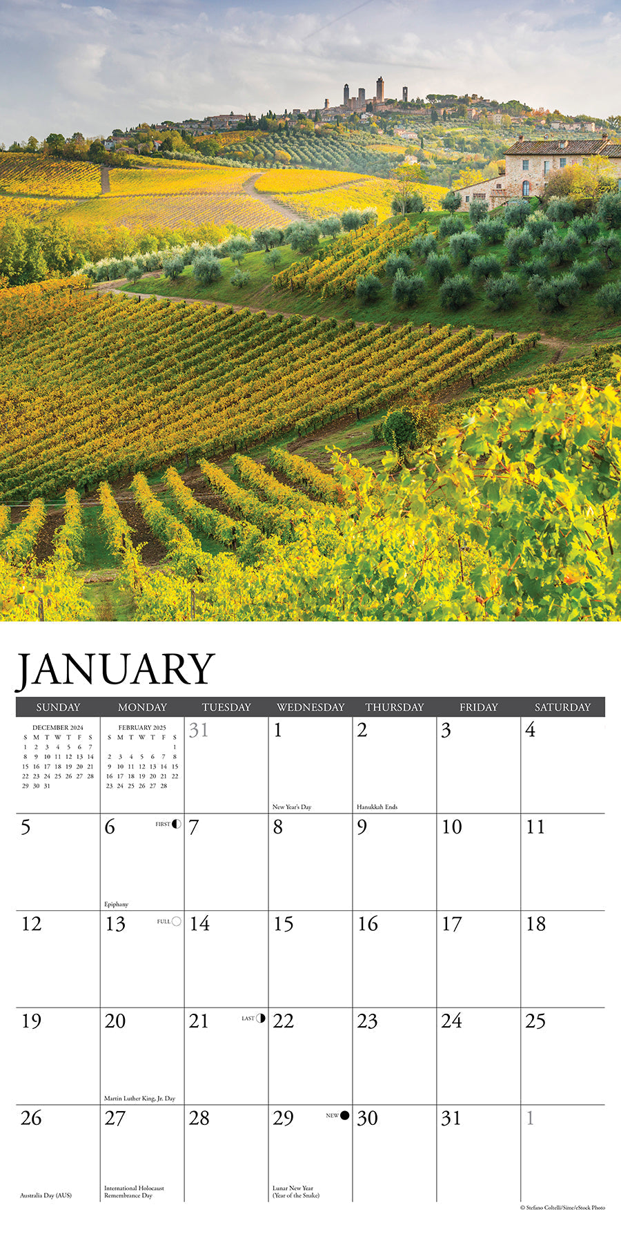 2025 Vineyards - Square Wall Calendar (US Only)