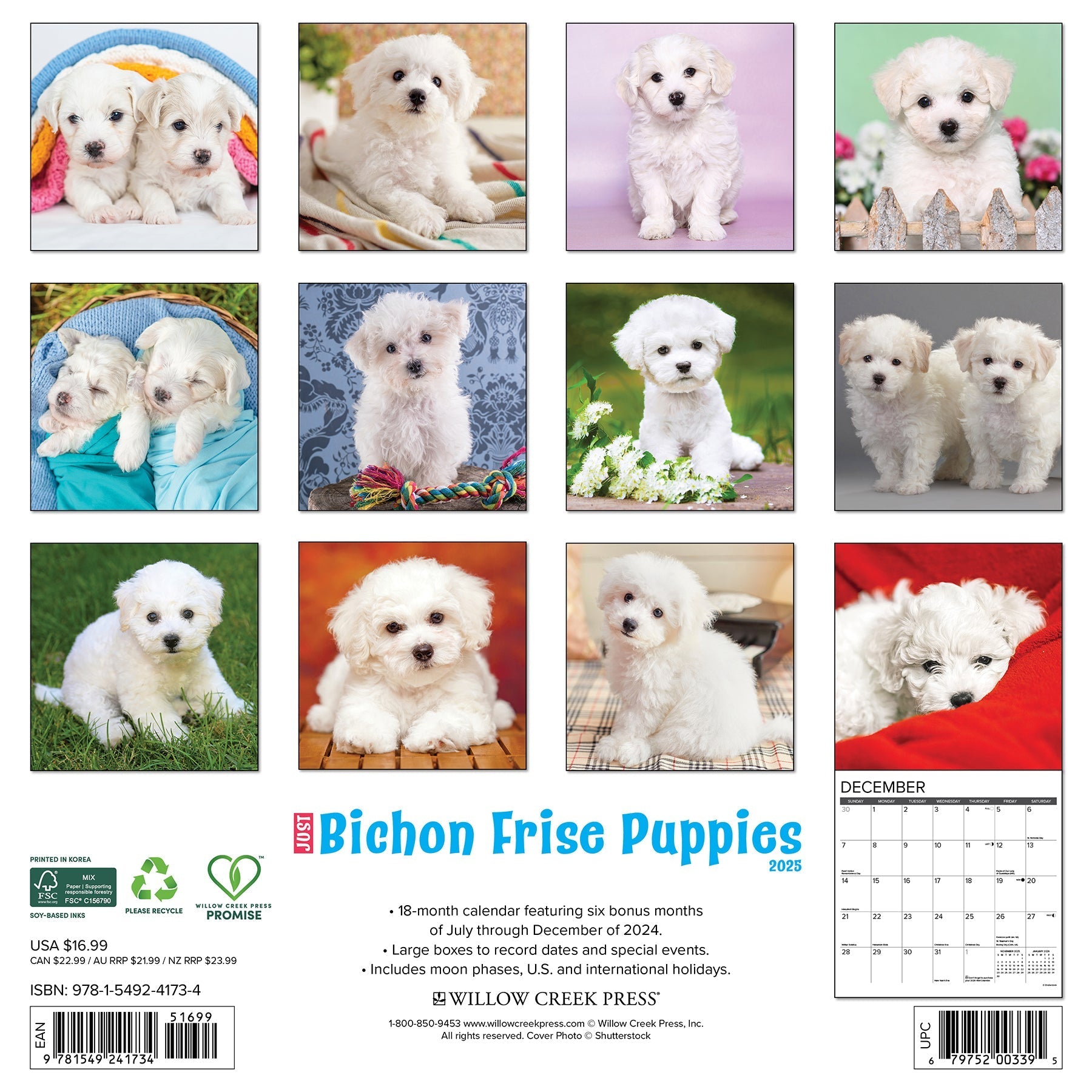 2025 Bichon Frise Puppies - Square Wall Calendar (US Only)