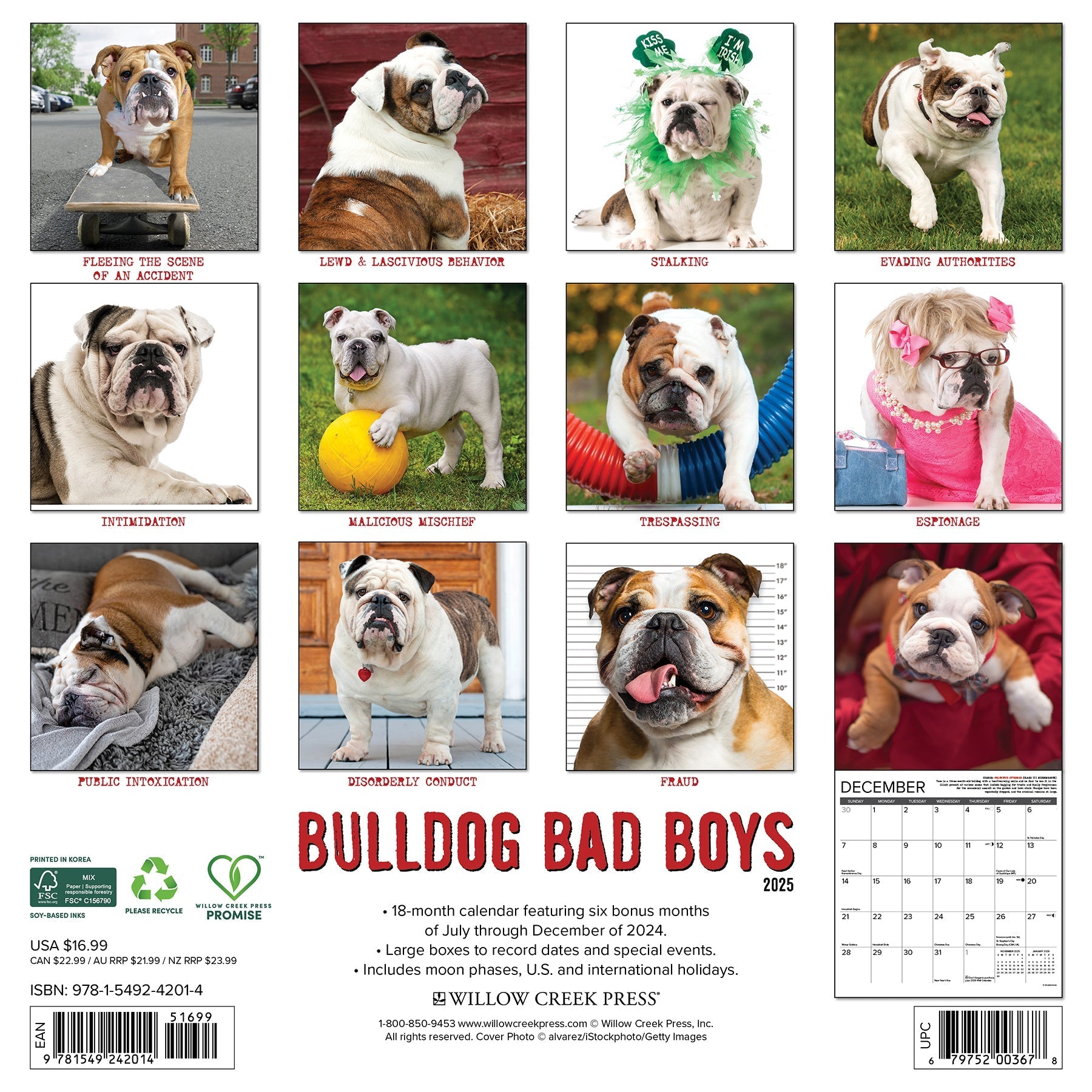 2025 Bulldog Bad Boys - Square Wall Calendar (US Only)