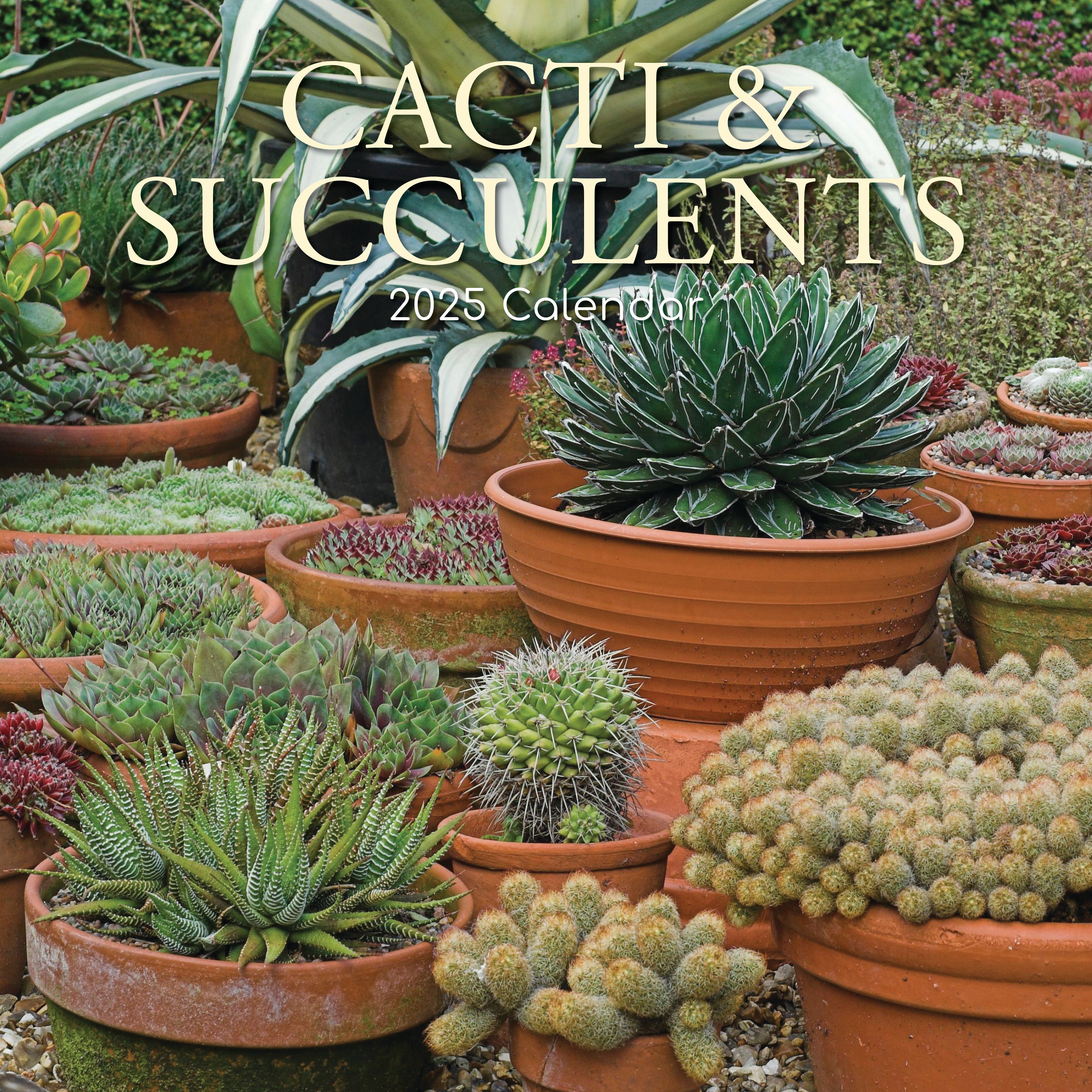 2025 Cacti & Succulents - Square Wall Calendar