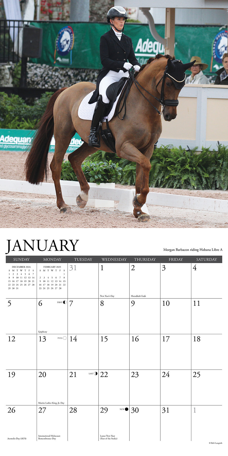 2025 Dressage - Square Wall Calendar (US Only)