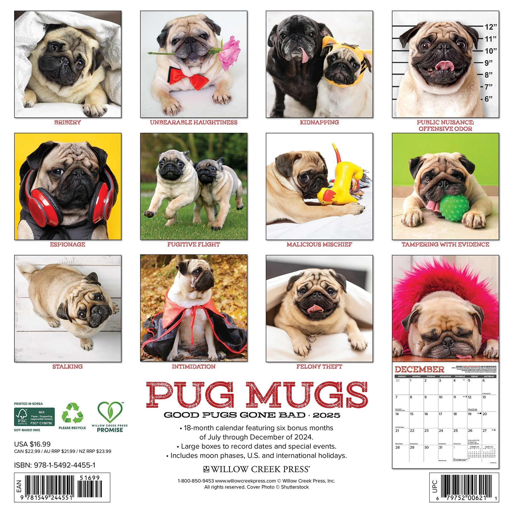 2025 Pug Mugs - Square Wall Calendar (US Only)