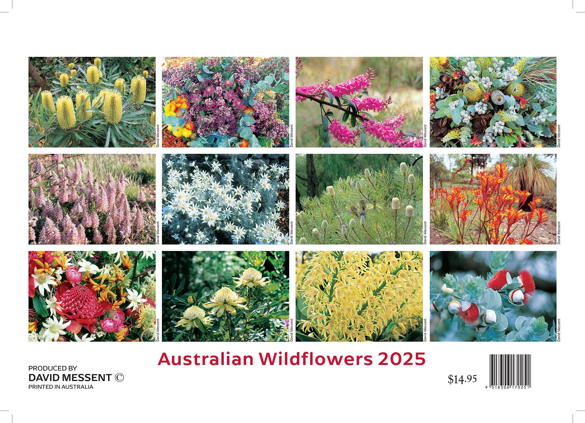 2025 Australian Wildflowers By David Messent - Horizontal Wall Calendar