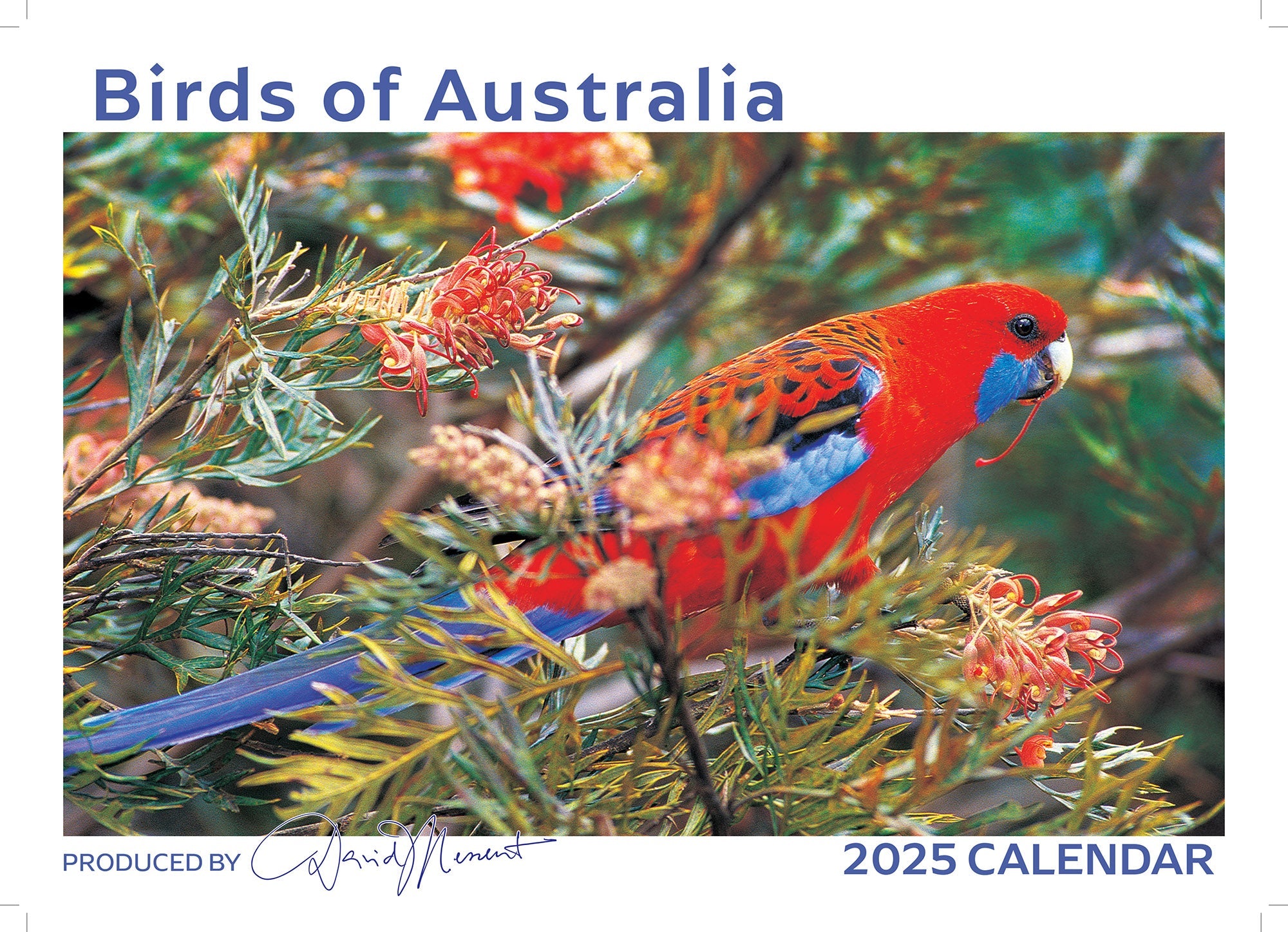 2025 Birds of Australia By David Messent - Horizontal Wall Calendar