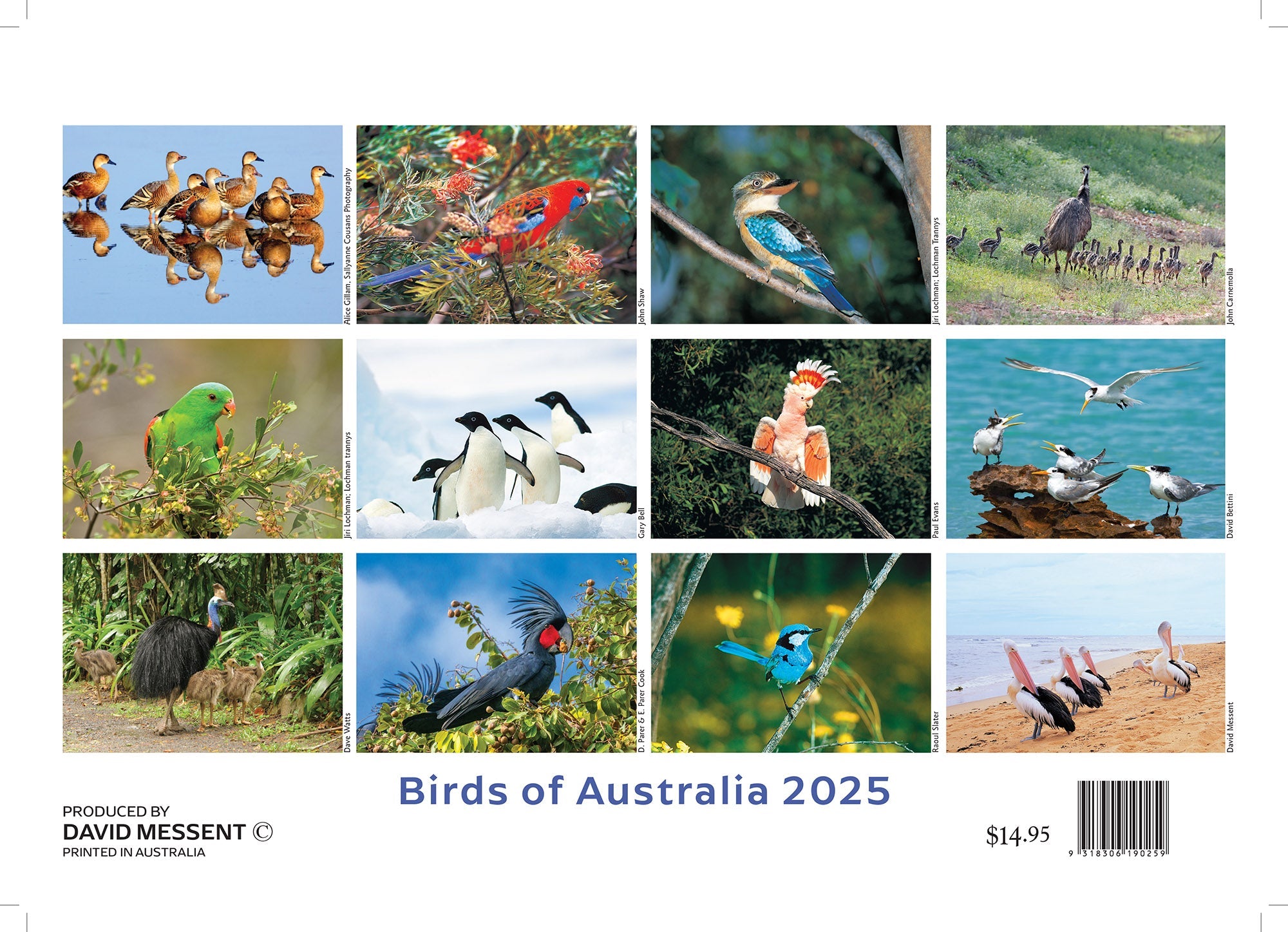 2025 Birds of Australia By David Messent - Horizontal Wall Calendar