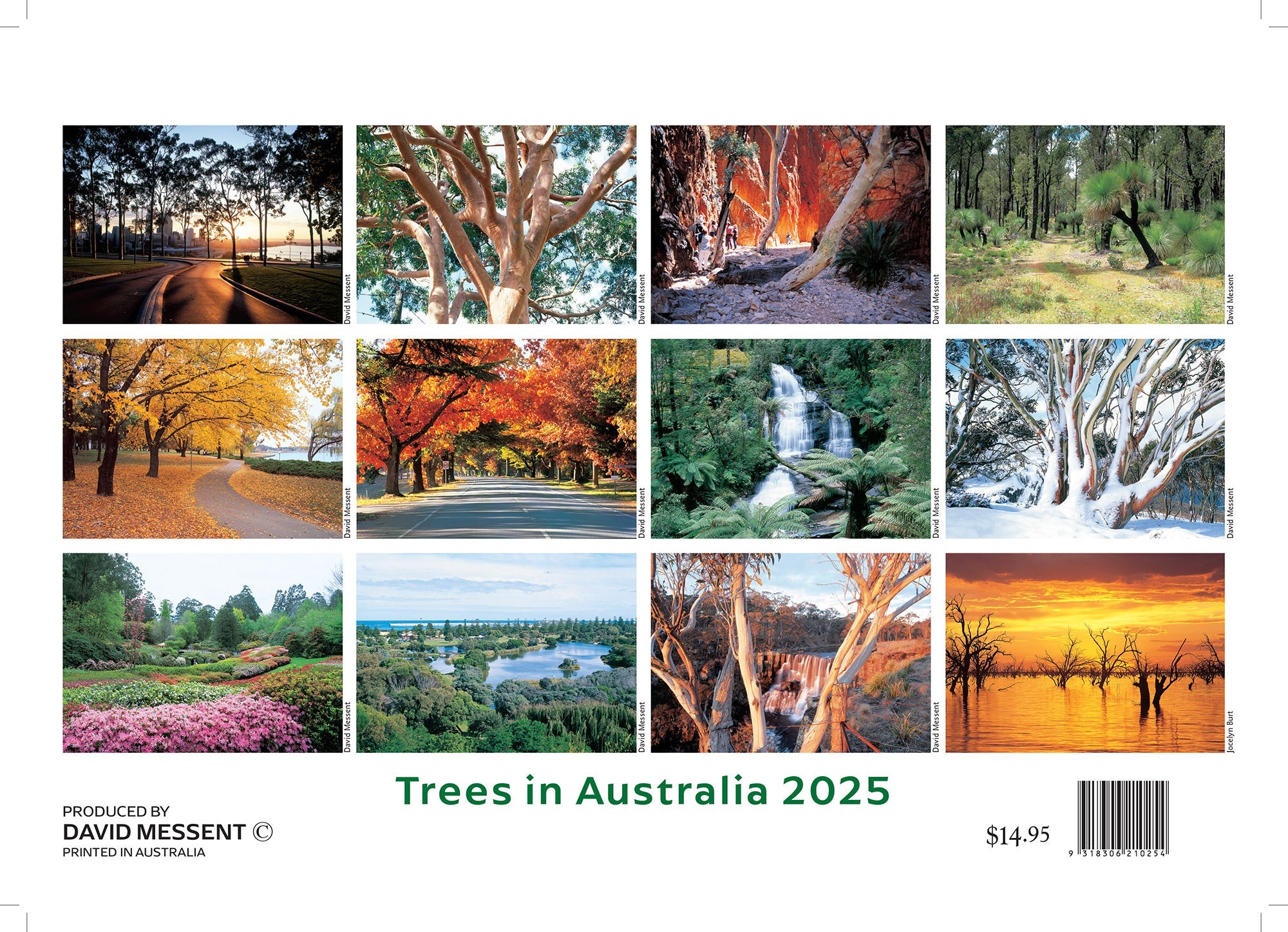 2025 Trees in Australia By David Messent - Horizontal Wall Calendar