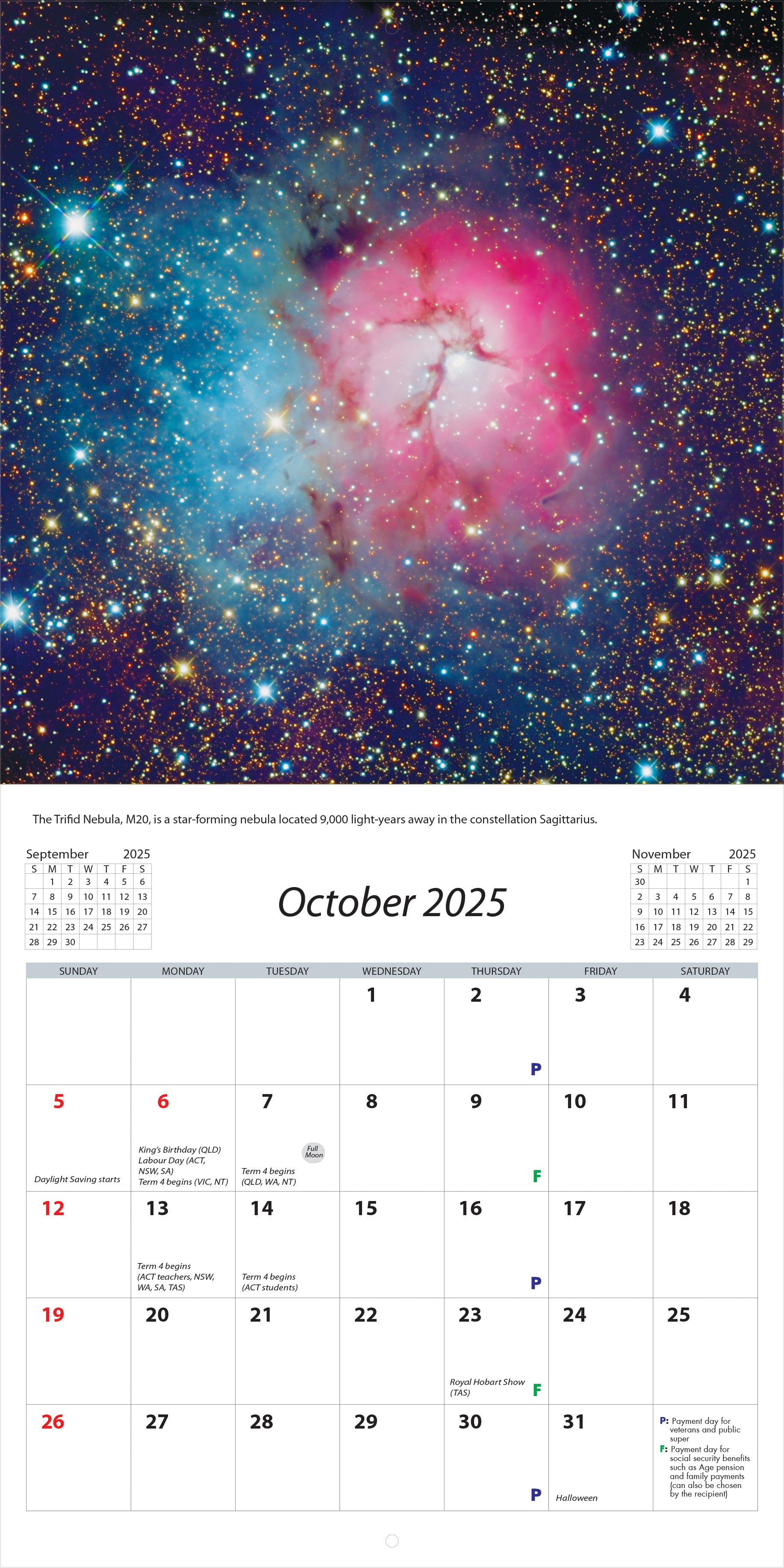 2025 Under The Southern Skies - Square Wall Calendar