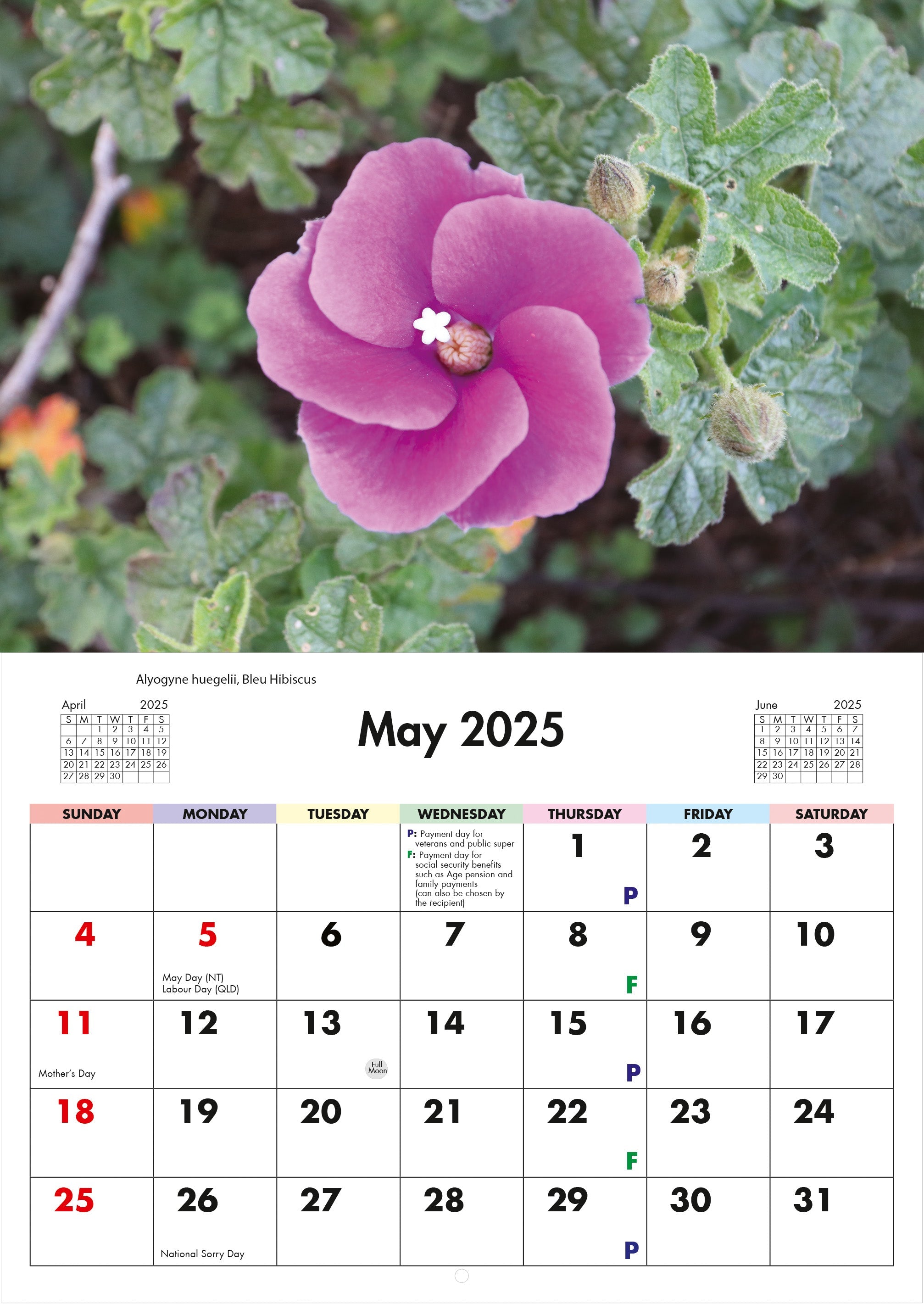 2025 Flora Of Australia - Horizontal Wall Calendar