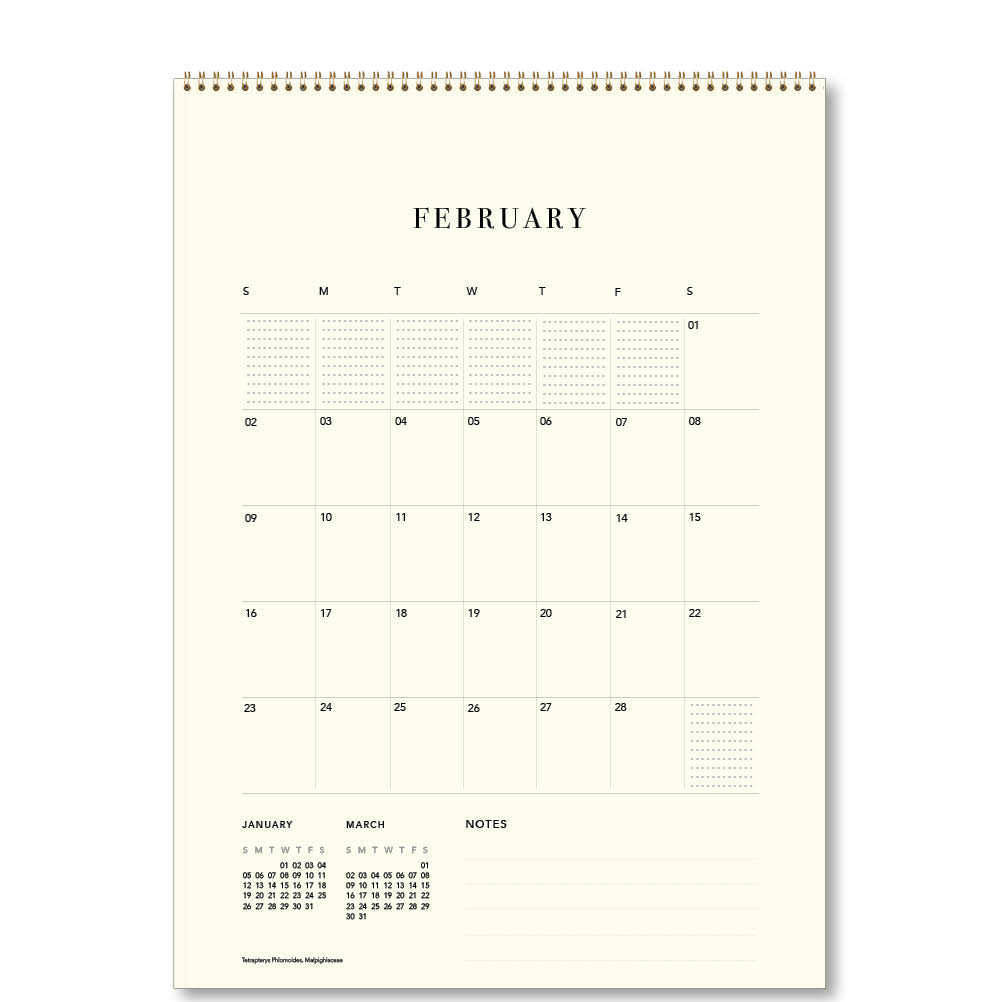 2025 Joseph Banks Botanicals (HMS Endeavour) - Deluxe Wall Calendar