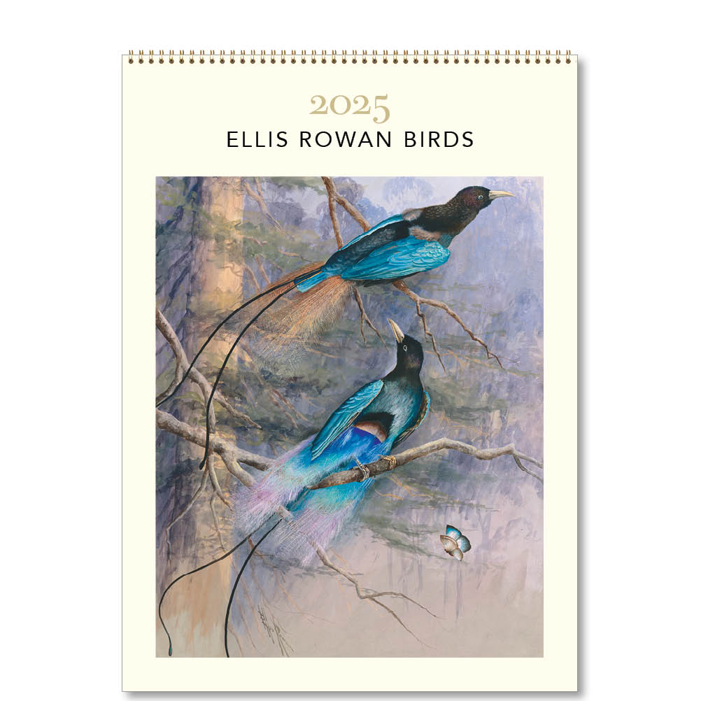 2025 Ellis Rowan Birds - Deluxe Wall Calendar