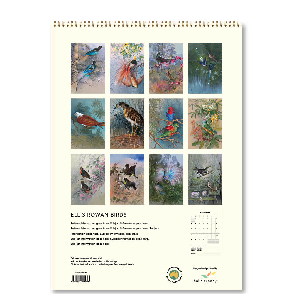 2025 Ellis Rowan Birds - Deluxe Wall Calendar