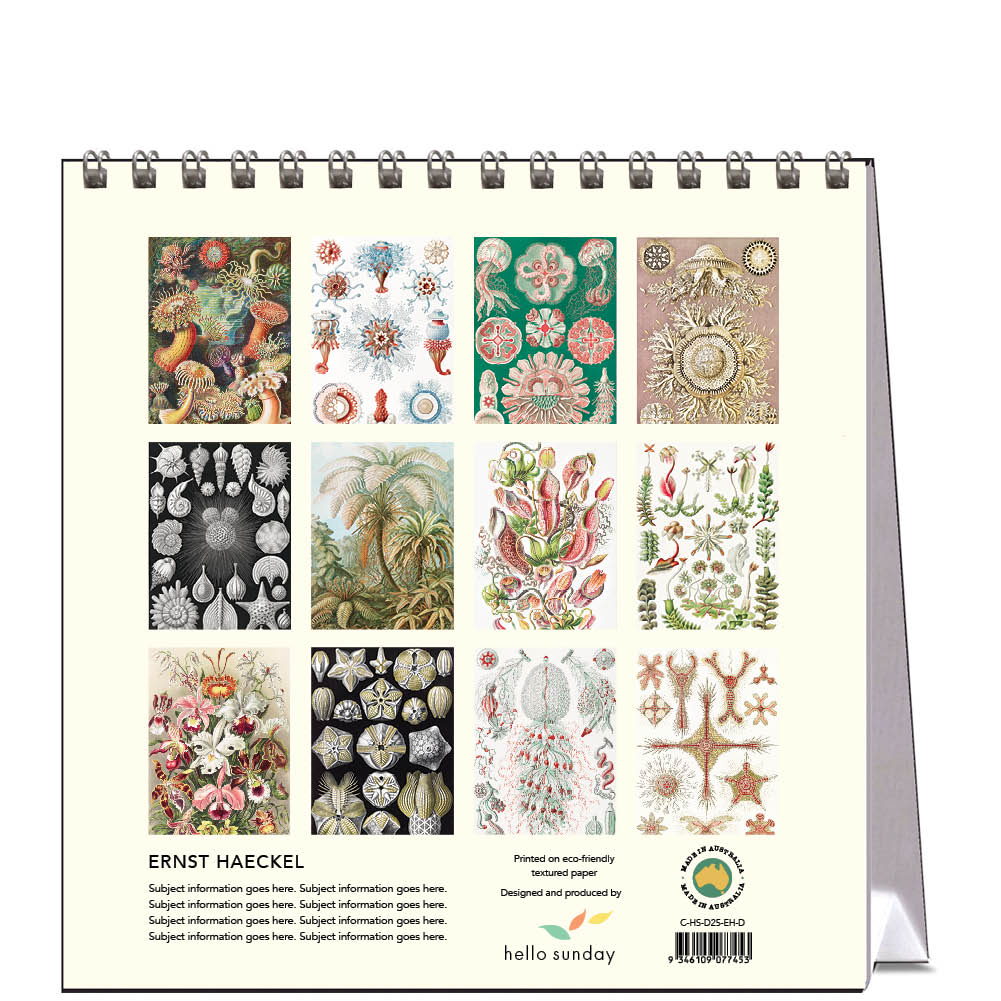 2025 Ernst Haeckel - Desk Easel Calendar