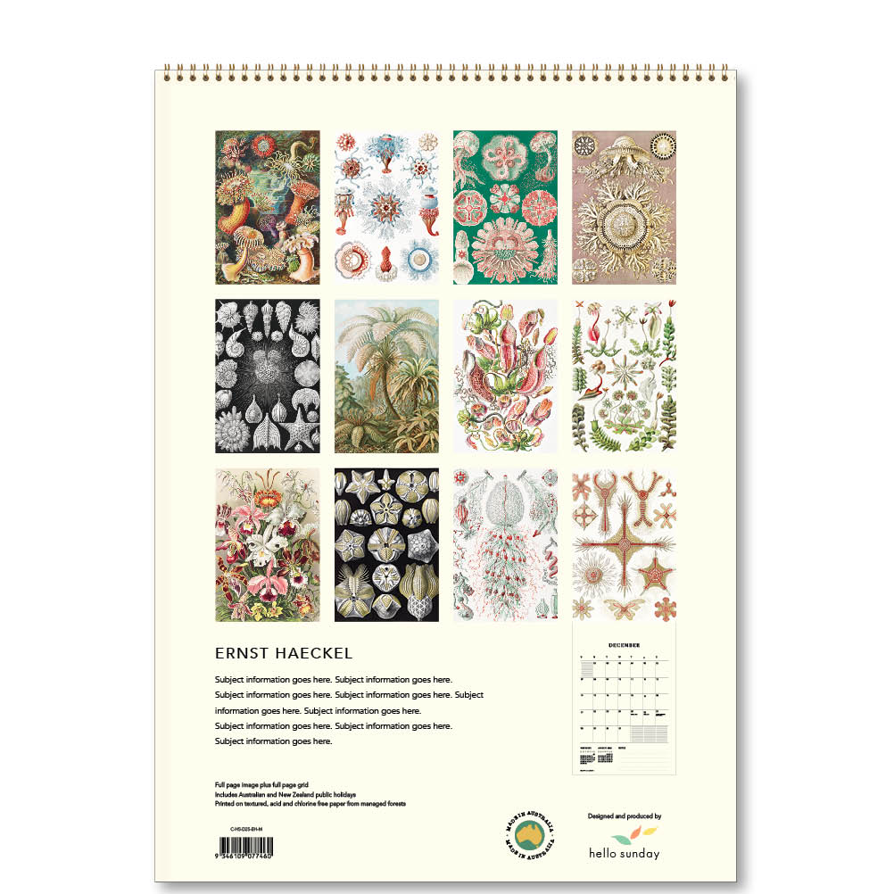 2025 Ernst Haeckel - Deluxe Wall Calendar