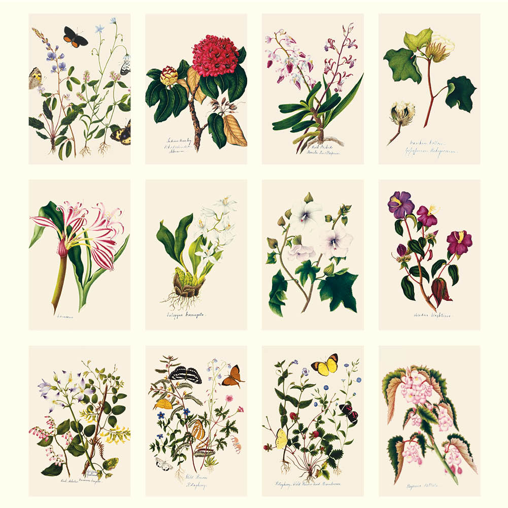 2025 Margaret Cockburn Flowers - Deluxe Wall Calendar