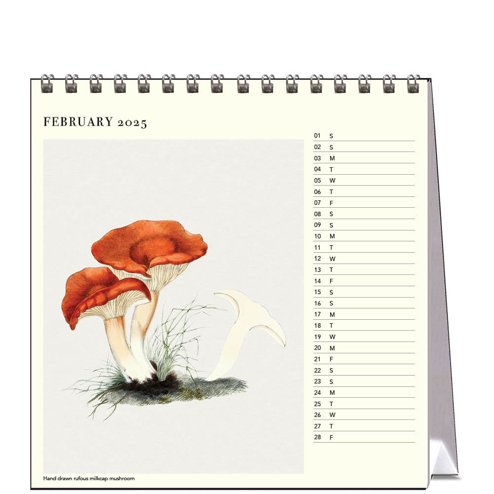 2025 Mushrooms - Desk Easel Calendar