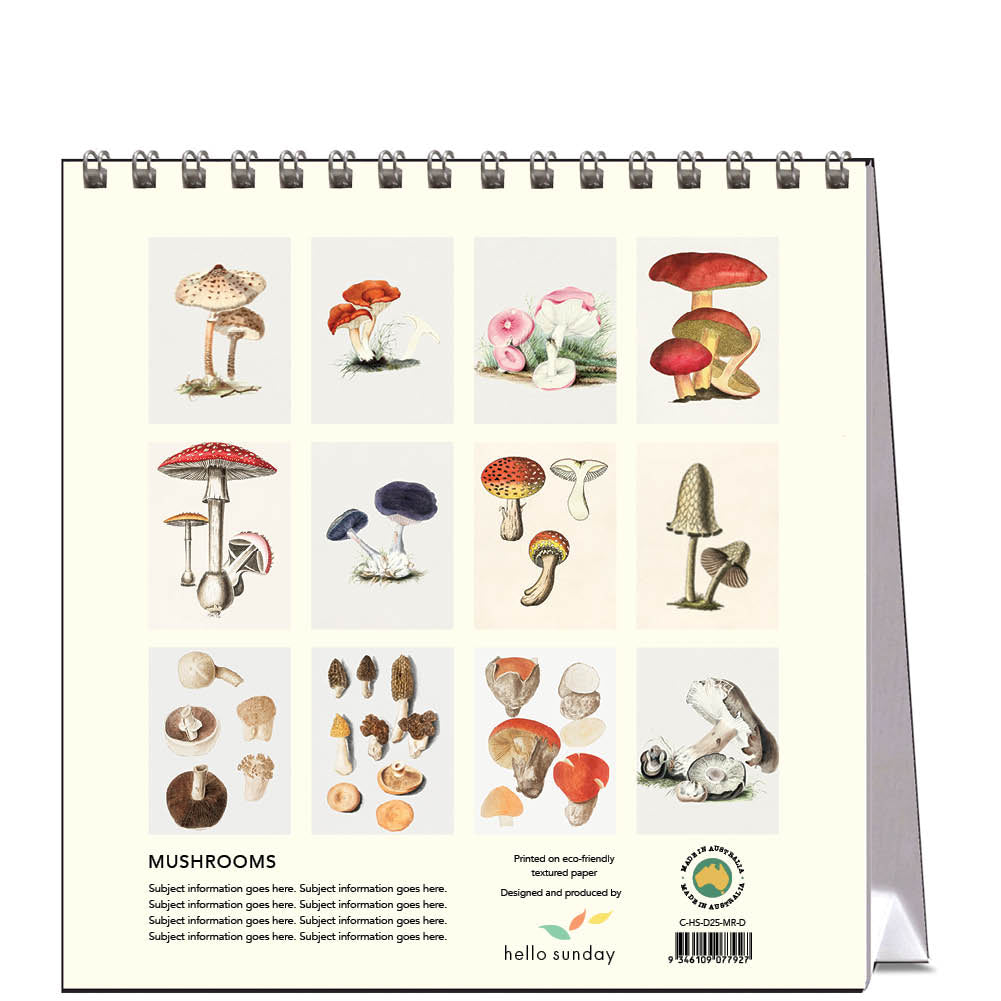 2025 Mushrooms - Desk Easel Calendar