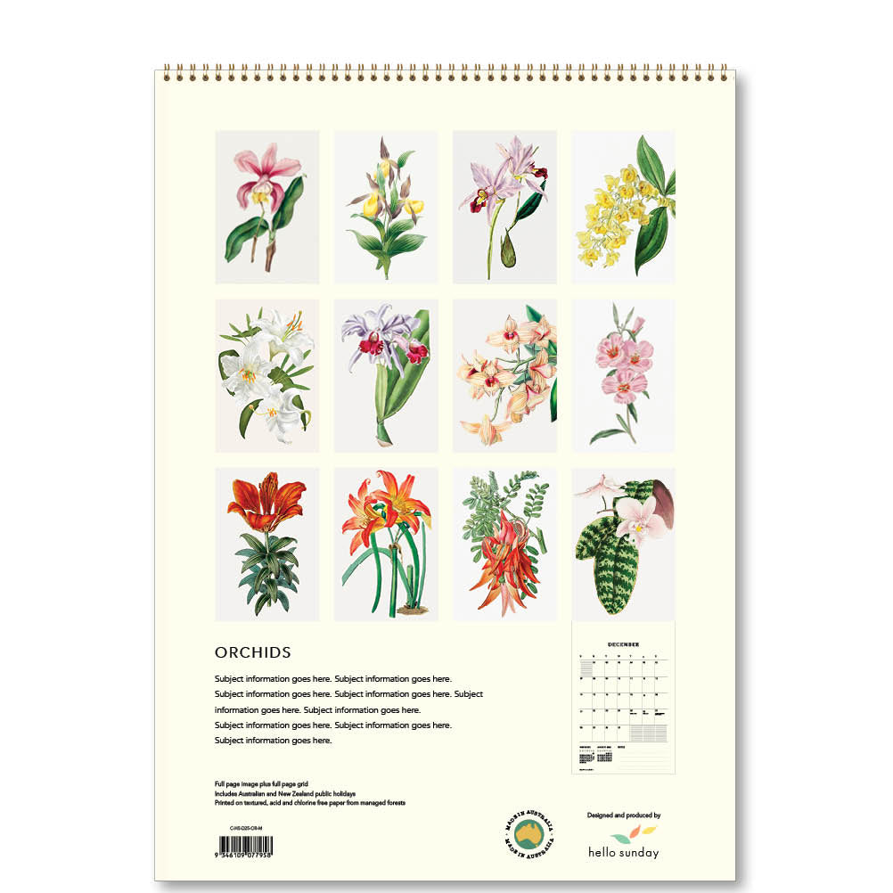 2025 Orchids - Deluxe Wall Calendar