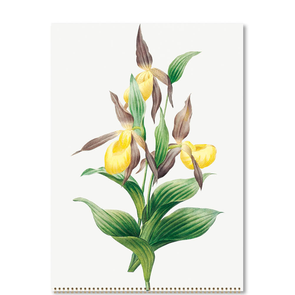 2025 Orchids - Deluxe Wall Calendar