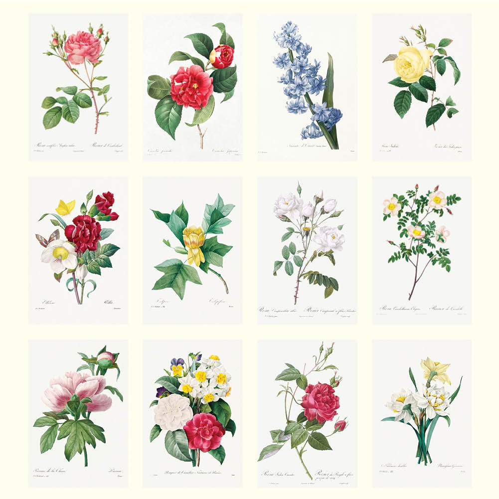 2025 Redoute's Flowers - Deluxe Wall Calendar