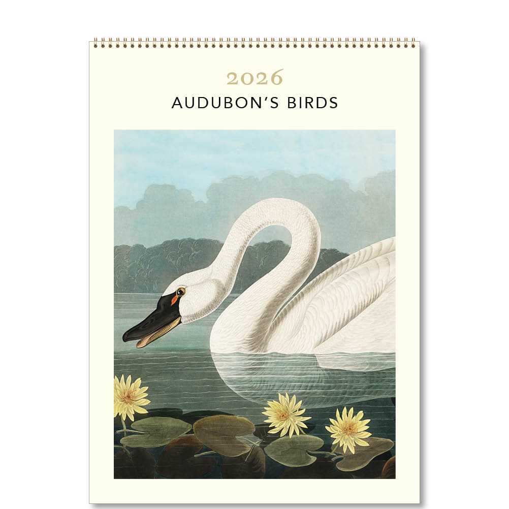 2026 Audubon's Birds - Deluxe Wall Calendar