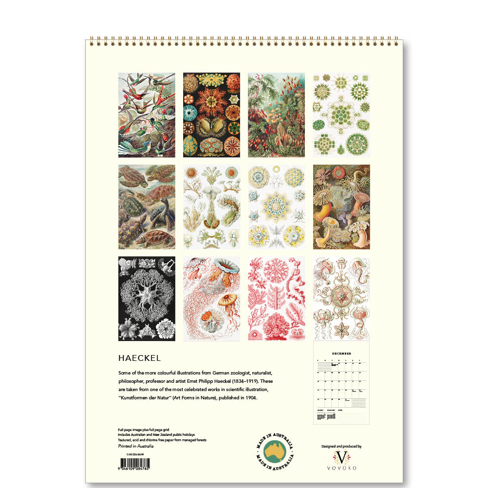 2026 Haeckel - Deluxe Wall Calendar